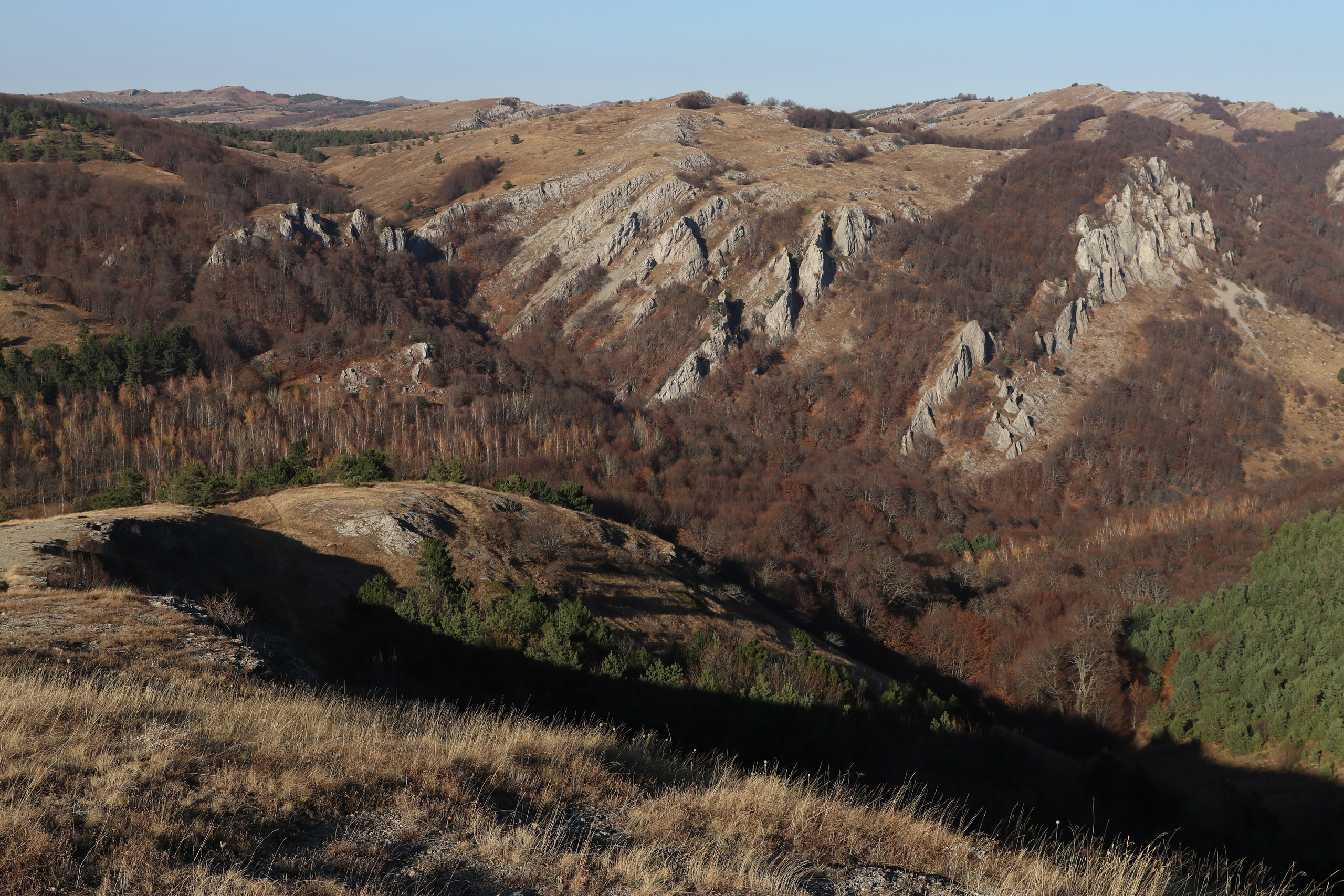 Крым. ЮБК (Гурзуф, Судак и их окрестности). Ноябрь 2023. Путешественник-фотограф из Санкт-Петербурга Татьяна Свистулина