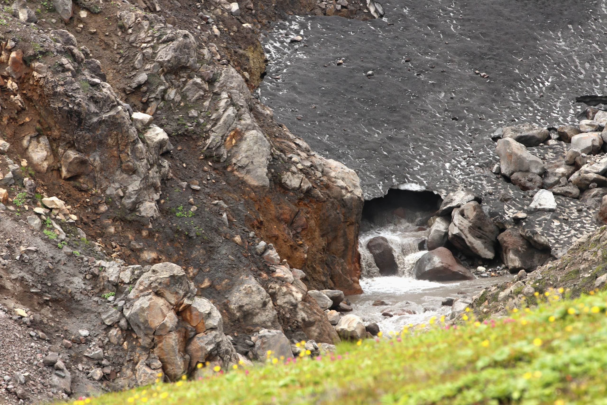 Камчатка и о. Парамушир. Июль 2024. Путешественник-фотограф из Санкт-Петербурга Татьяна Свистулина