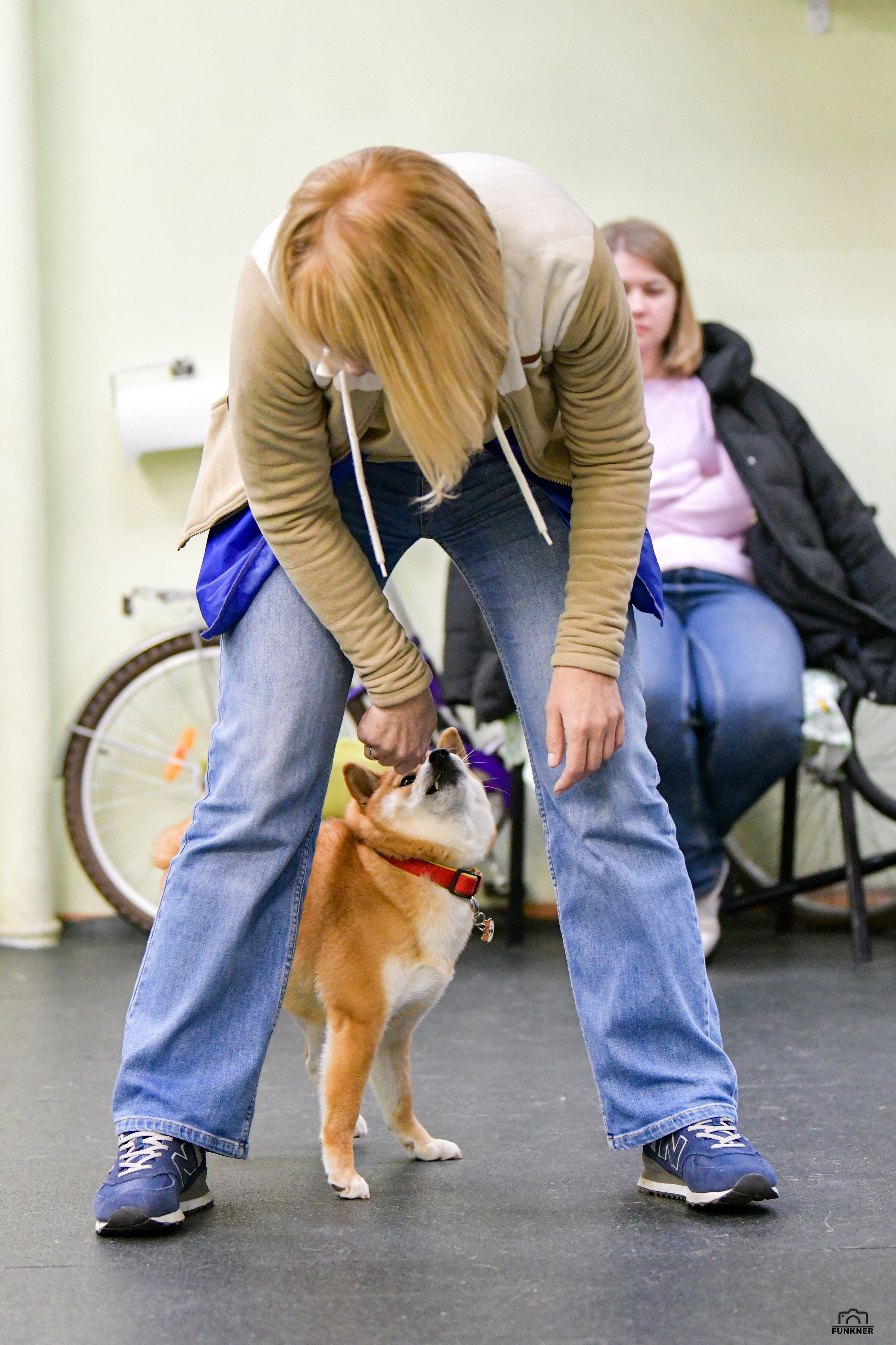 Кинологический клуб «Бодрый хвост». Свой взгляд через объектив