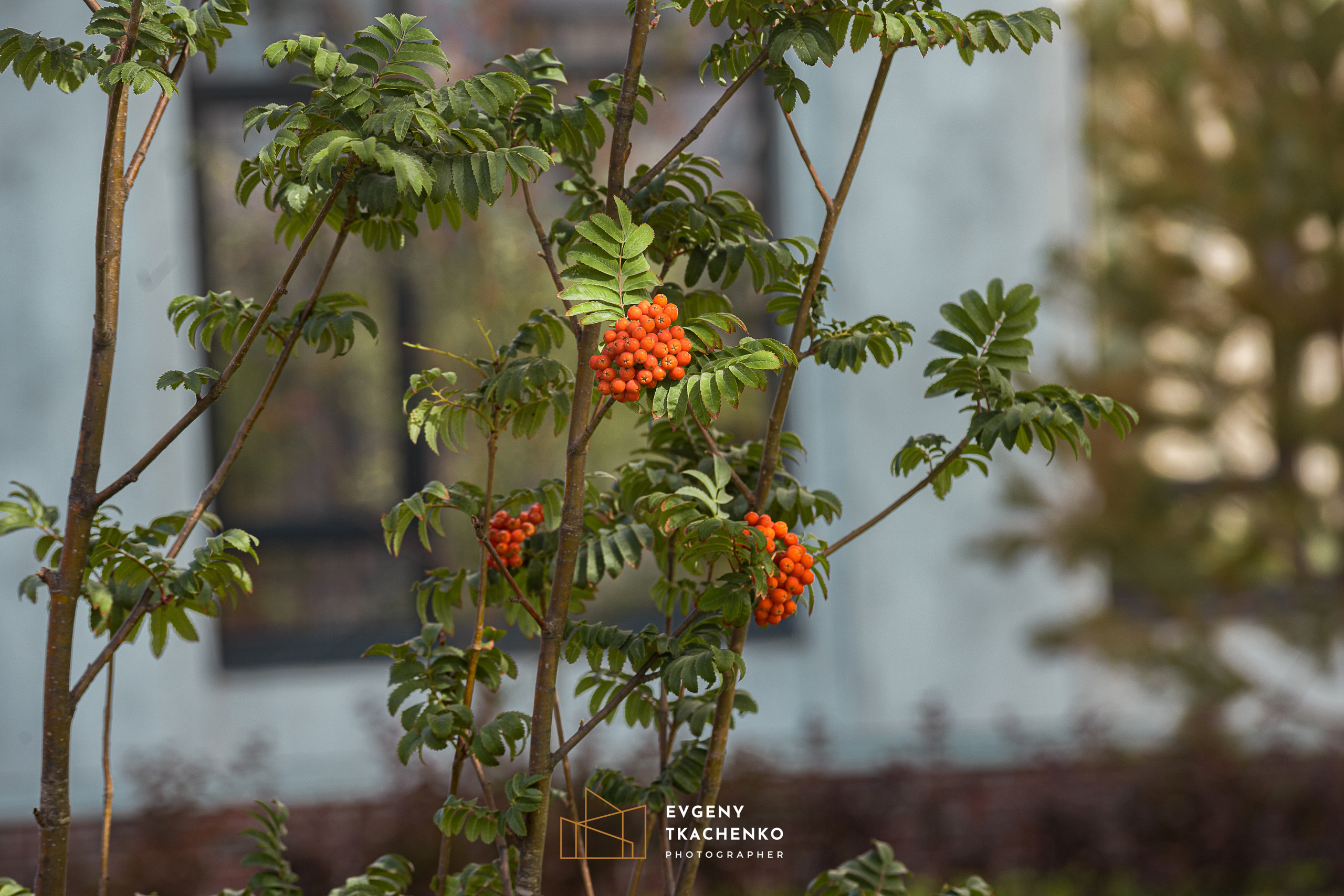 Интерьер холла и ландшафтный дизайн двора в ЖК «Дом на Ботаническом». Архитектурный и интерьерный фотограф в Казахстане