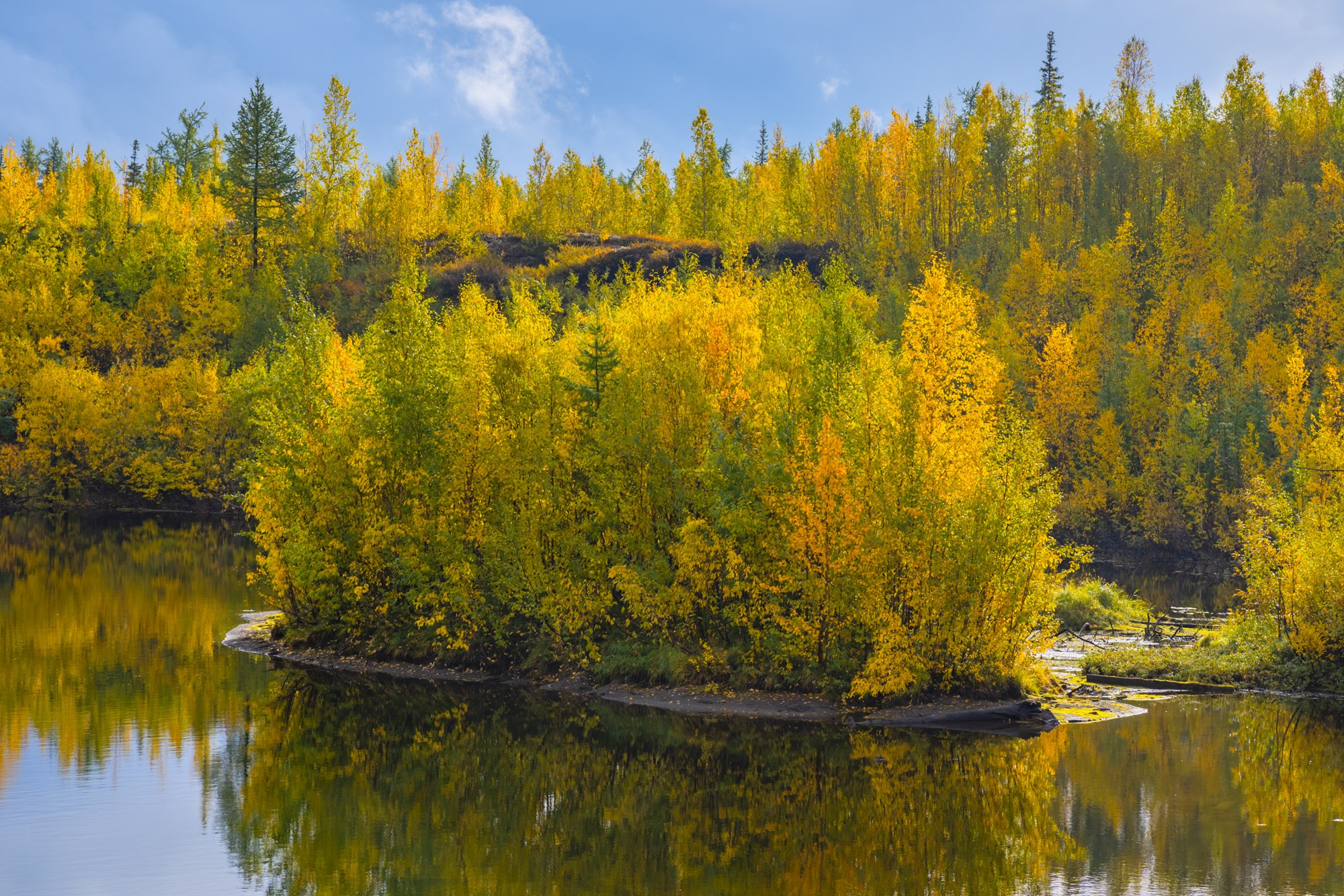 Природа.Осень. Талнах.рф