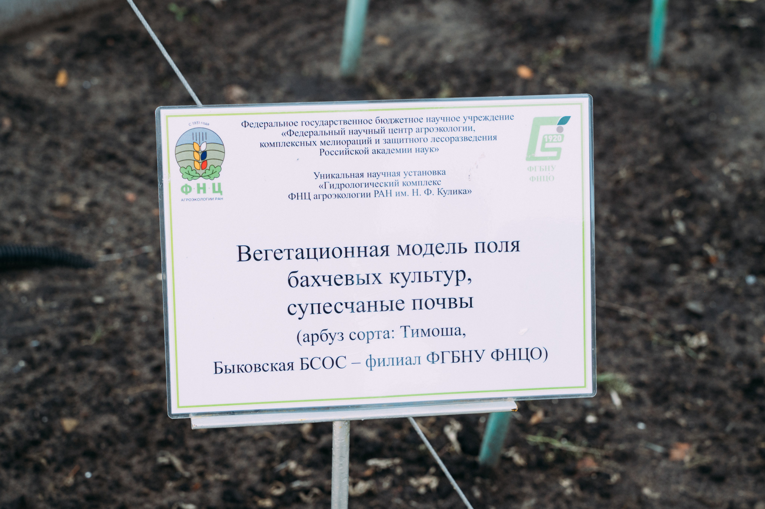 Международная конференция РАН