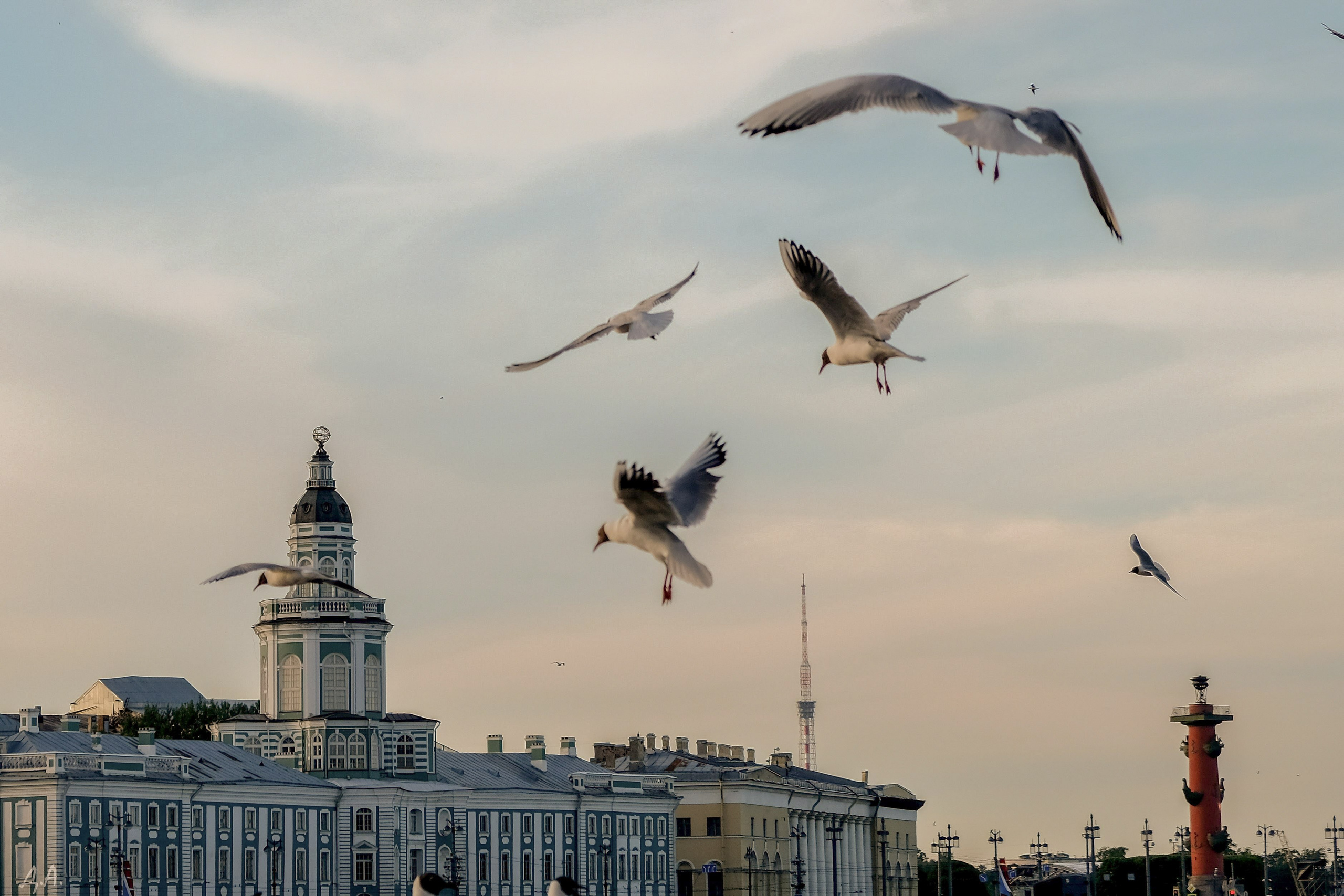 Питер. Фотограф Дмитрий Алексеев