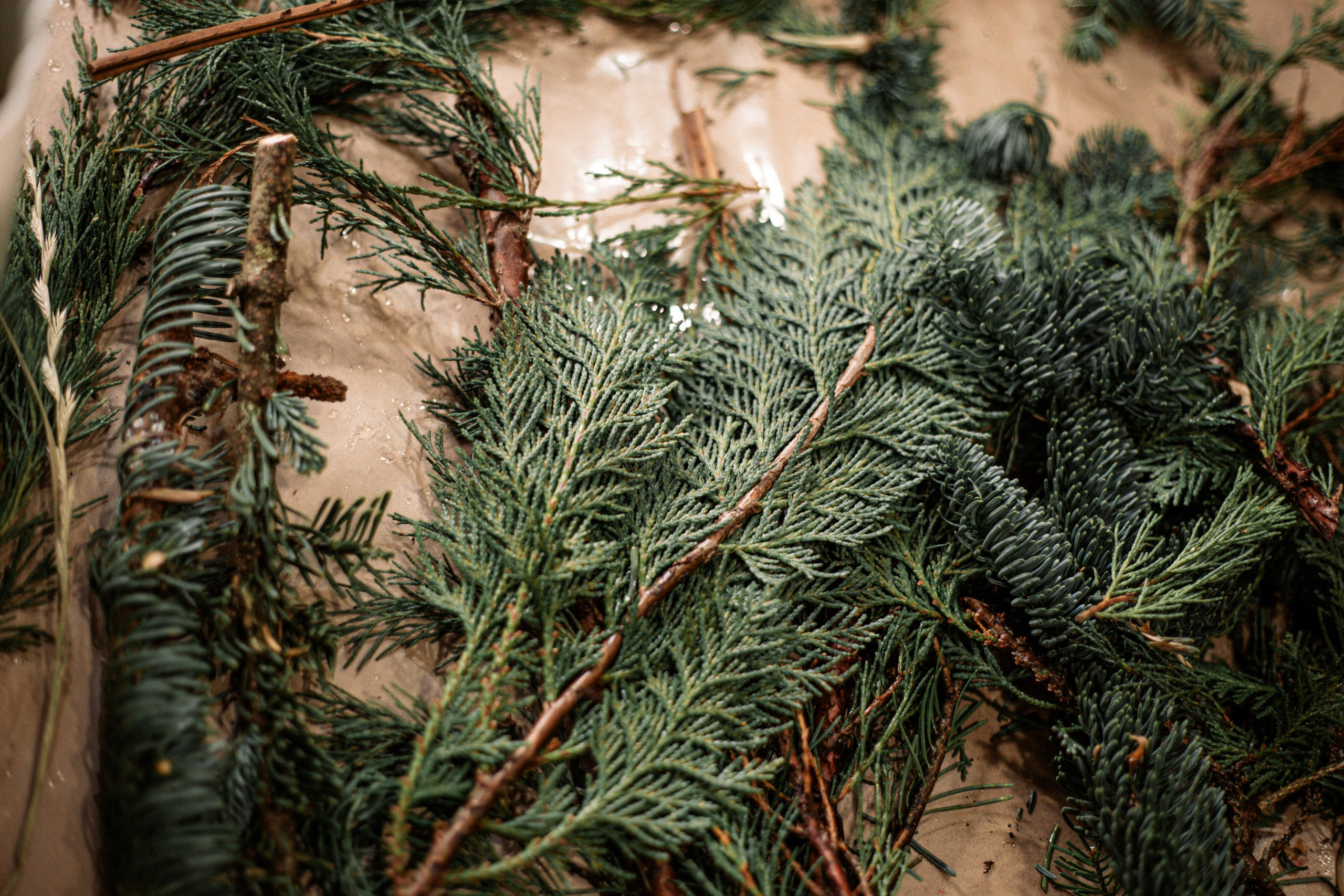 Новогодний девичник