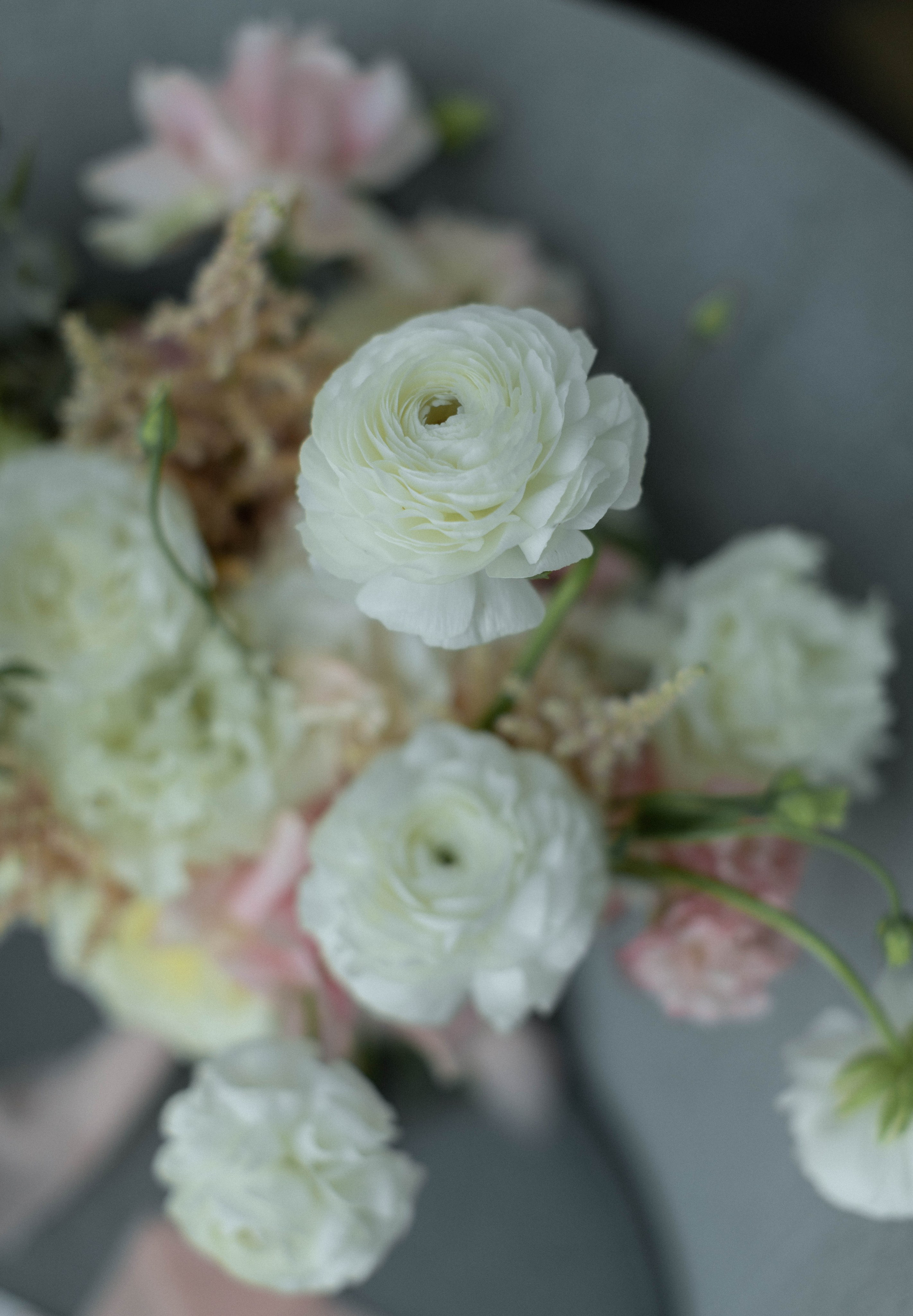 Марина | Владимир