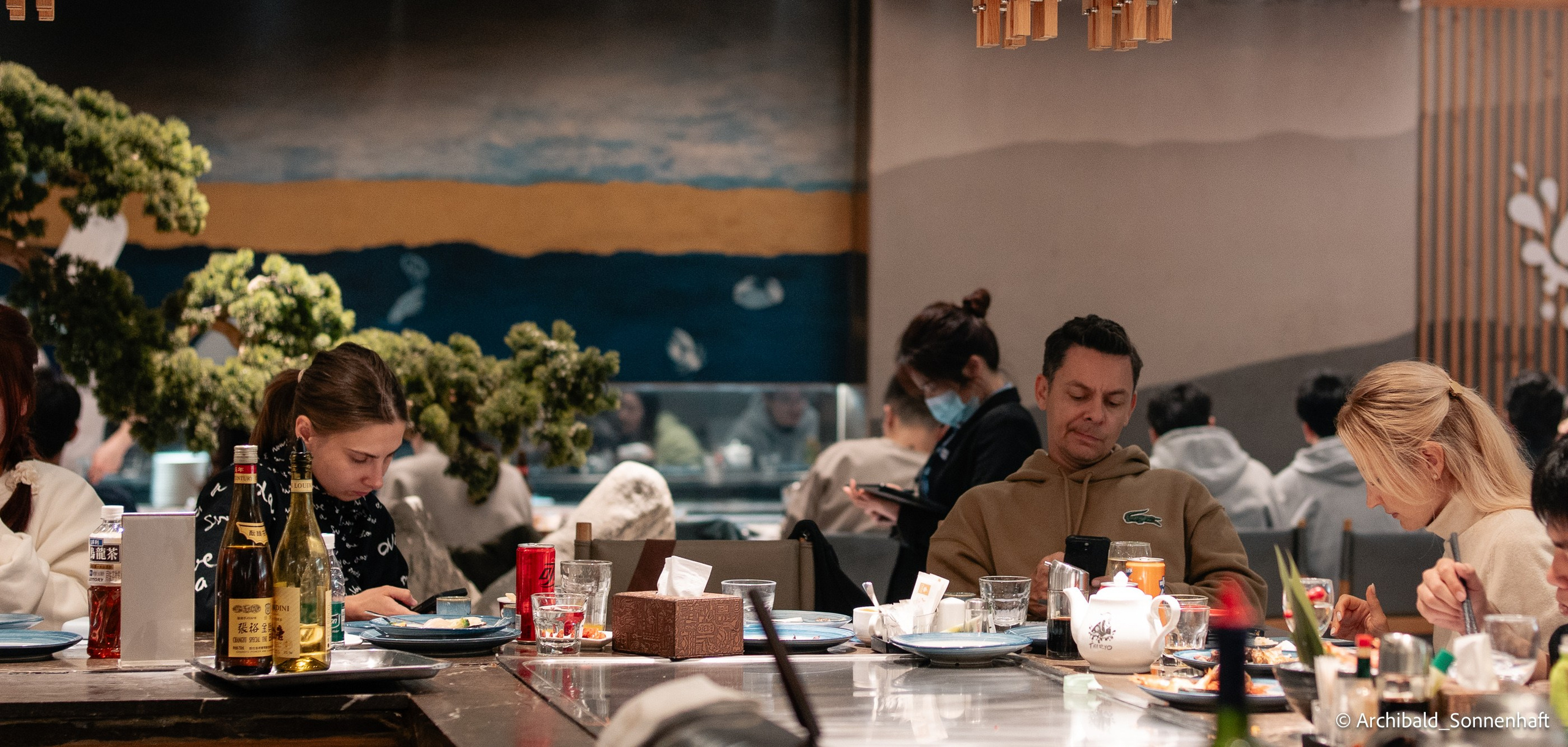 Cat, squirrel, japanese food and stand-up. Photographer in Guangzhou, China. Archibald Sonnenhaft