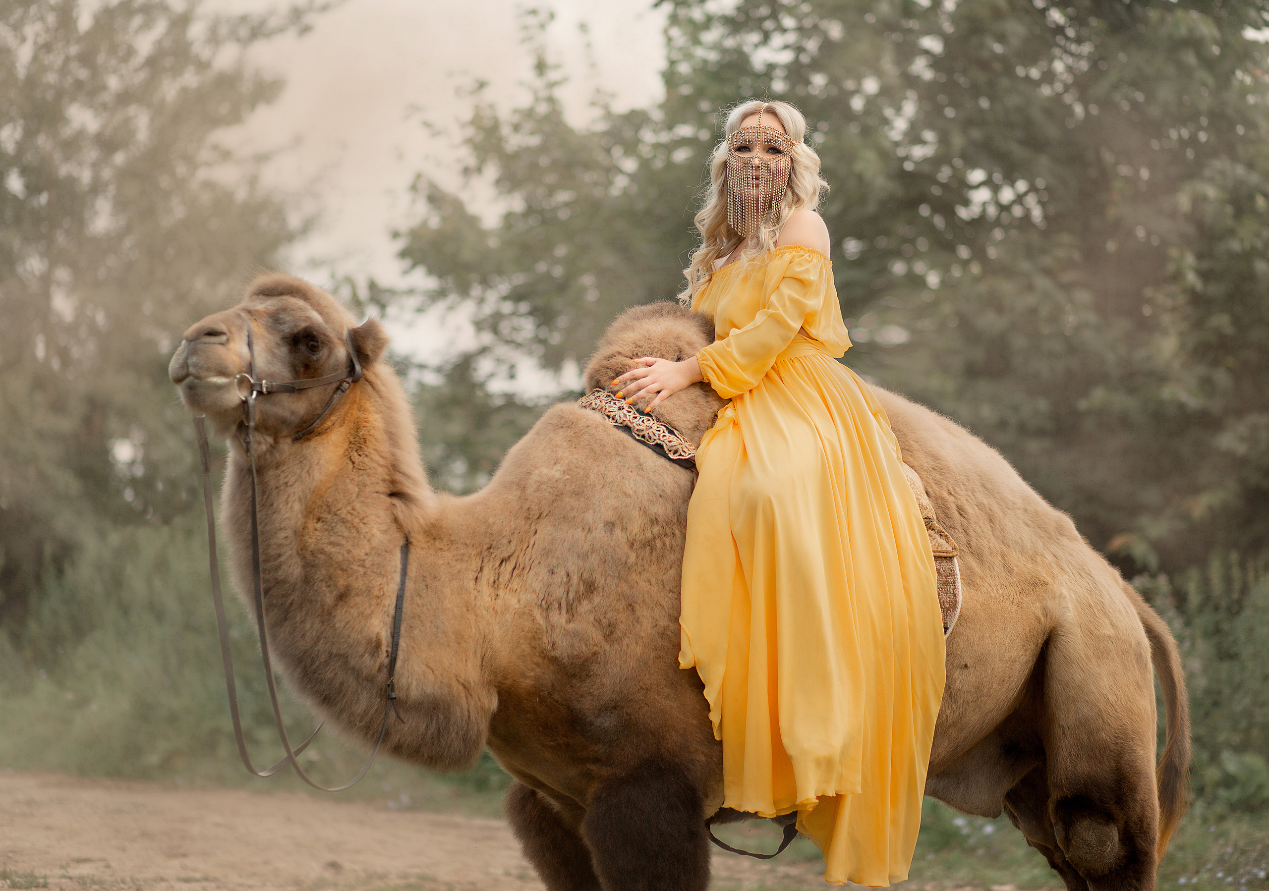 Мария и Семен фотодень. Фотосессия с лошадьми в Нижнем Новгороде