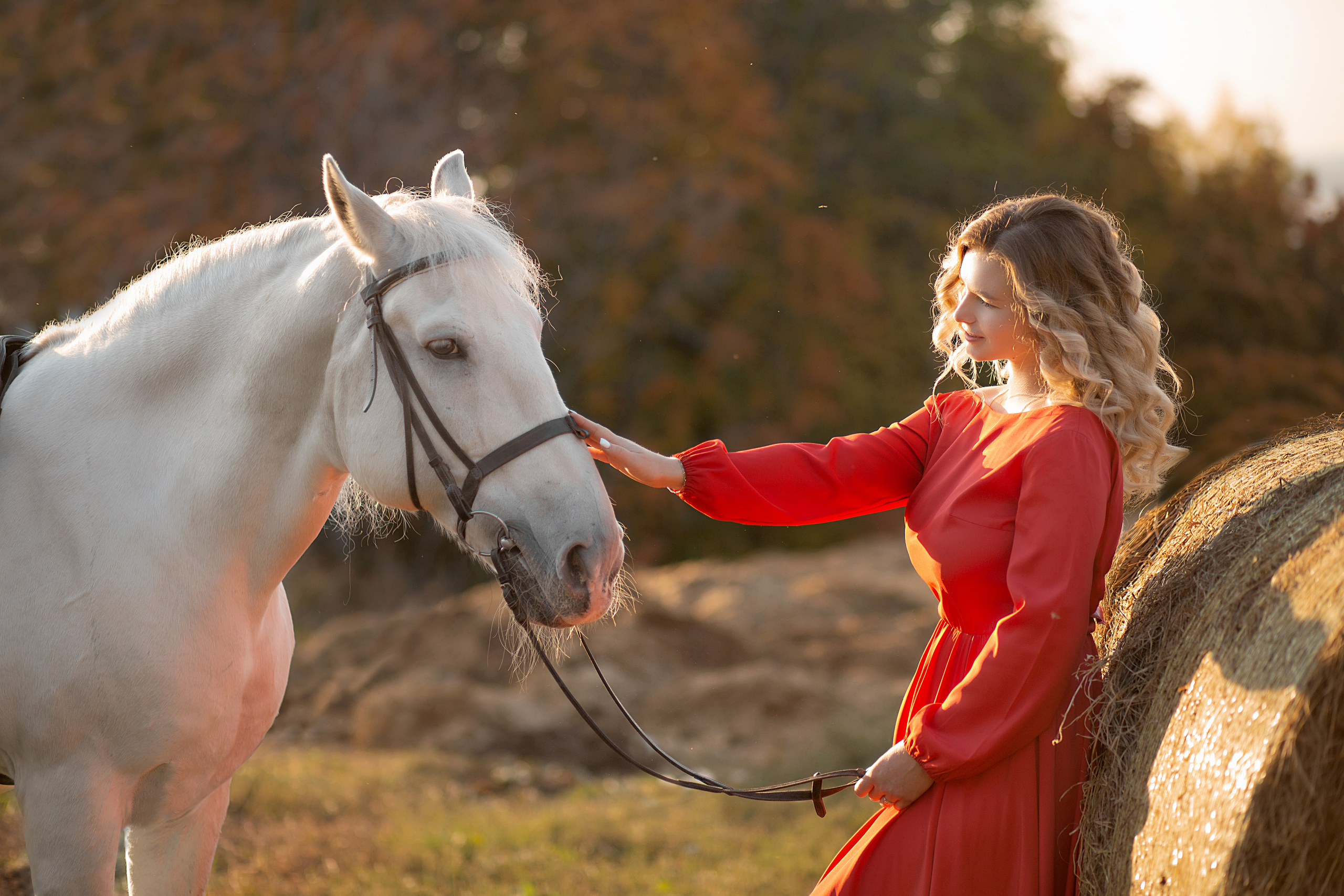 Настя и Воробей. Фотосессия с лошадьми в Нижнем Новгороде