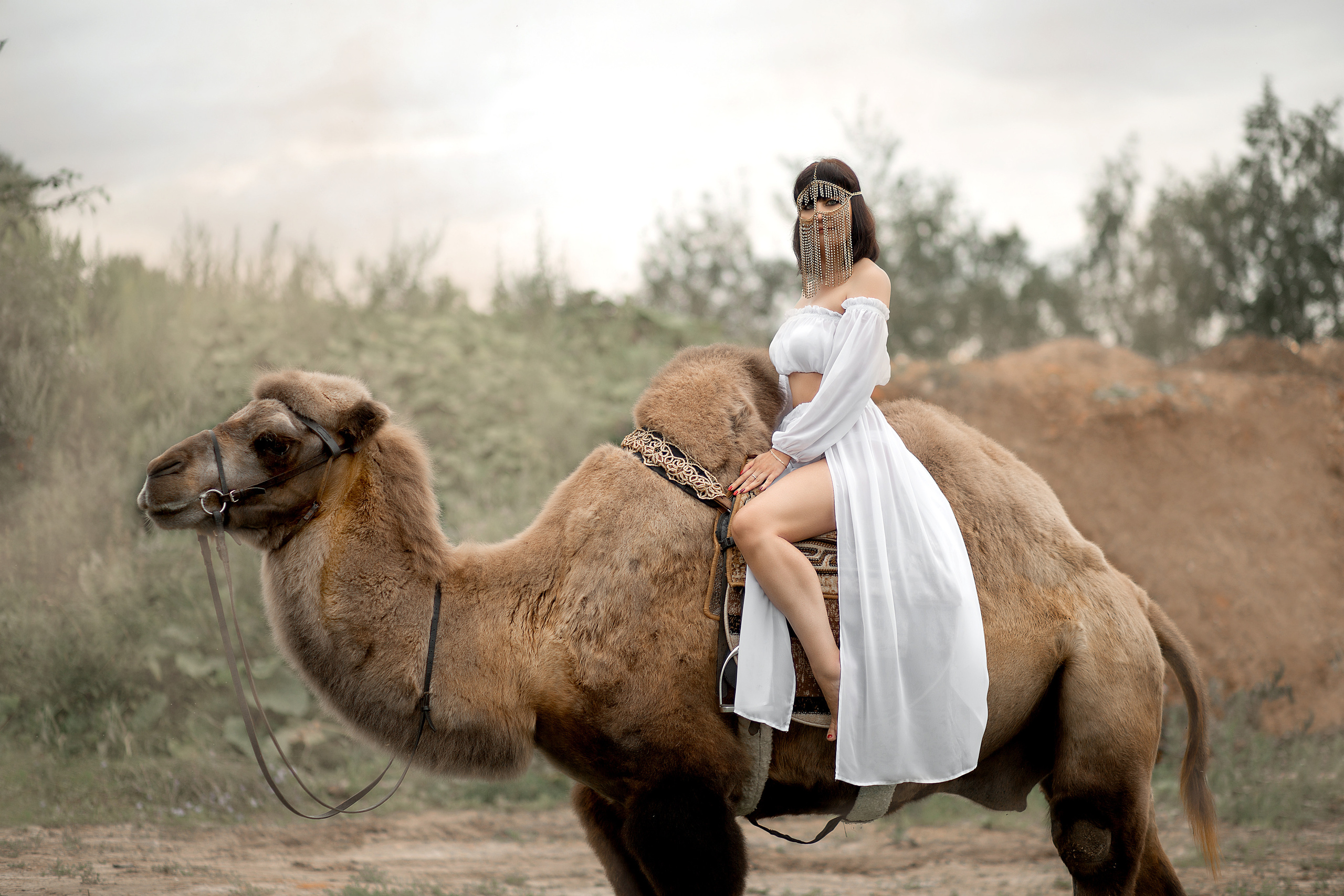 Алена и Семен фотодень. Фотосессия с лошадьми в Нижнем Новгороде