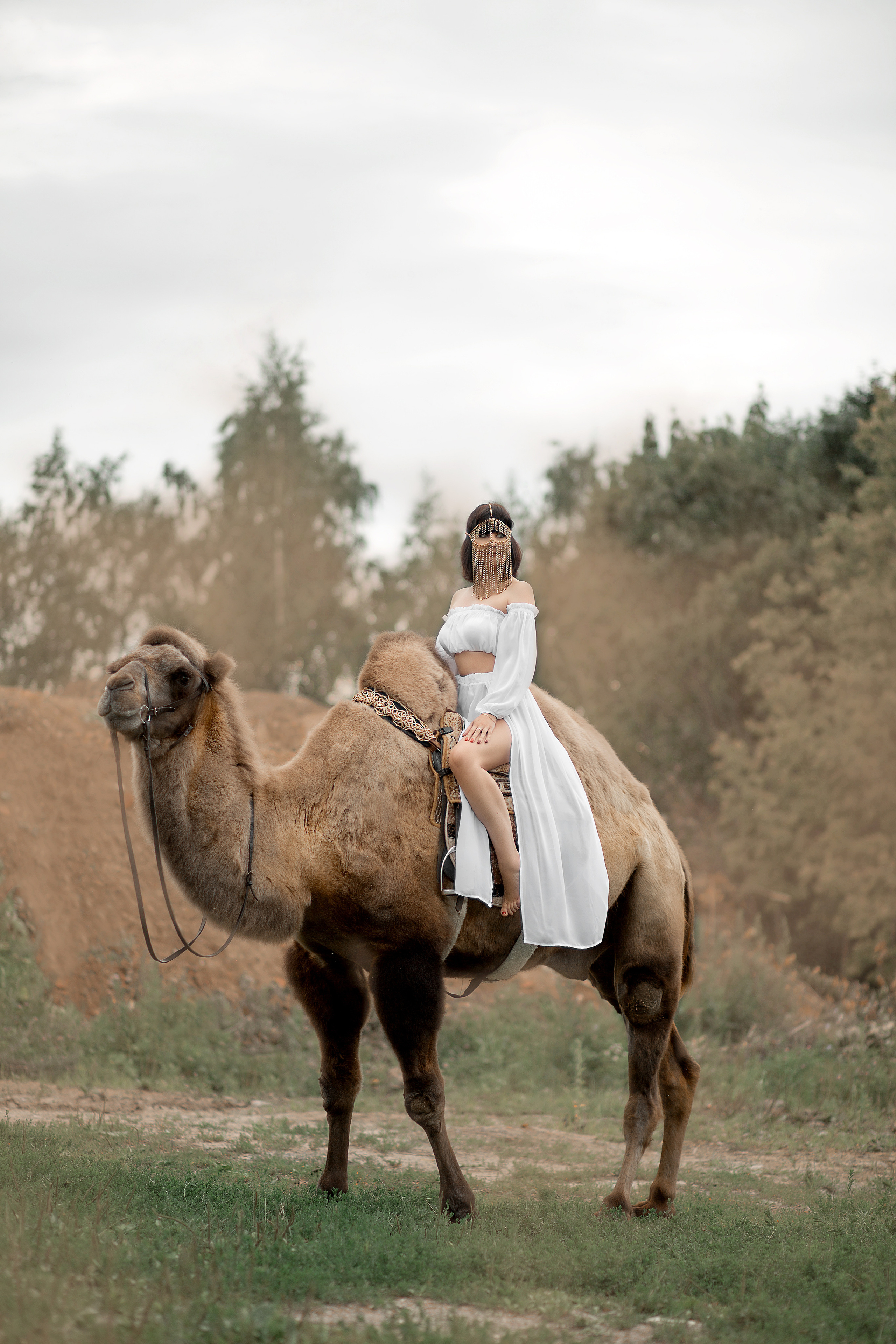 Алена и Семен фотодень. Фотосессия с лошадьми в Нижнем Новгороде