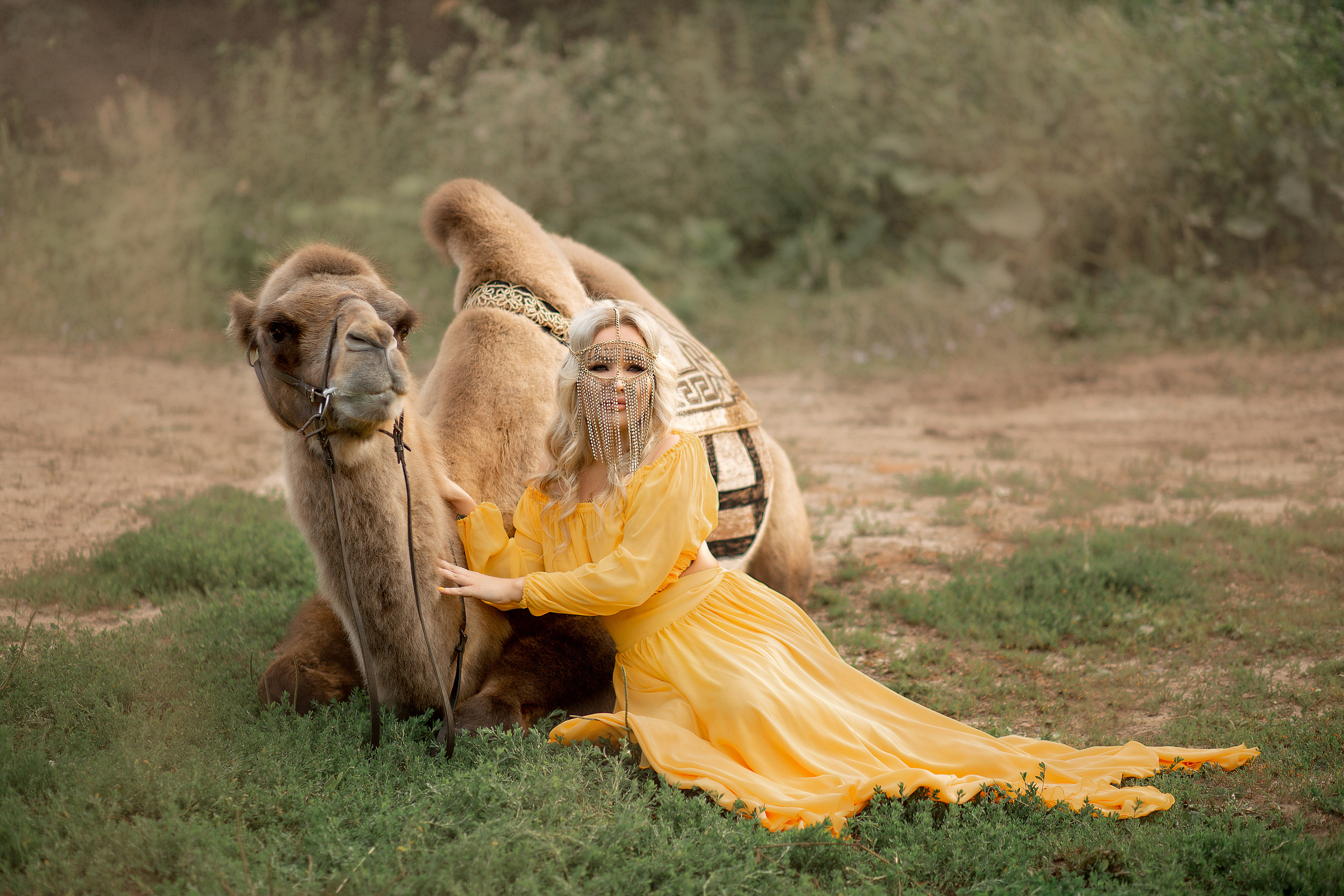 Мария и Семен фотодень. Фотосессия с лошадьми в Нижнем Новгороде