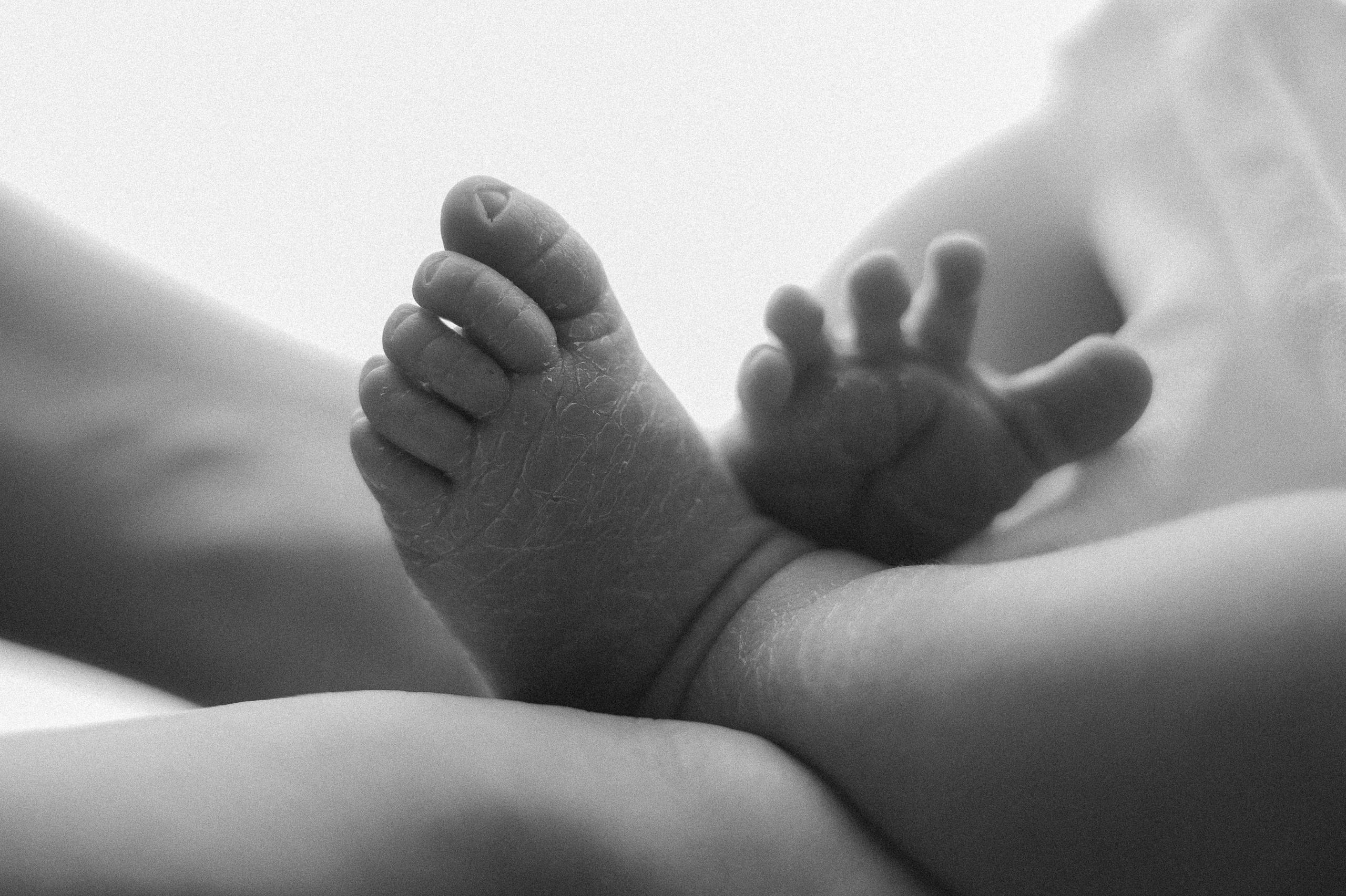 Новорожденные (5-14 дней). Фотограф новорождённых Ярославль. Детский и семейный фотограф Анна Салова