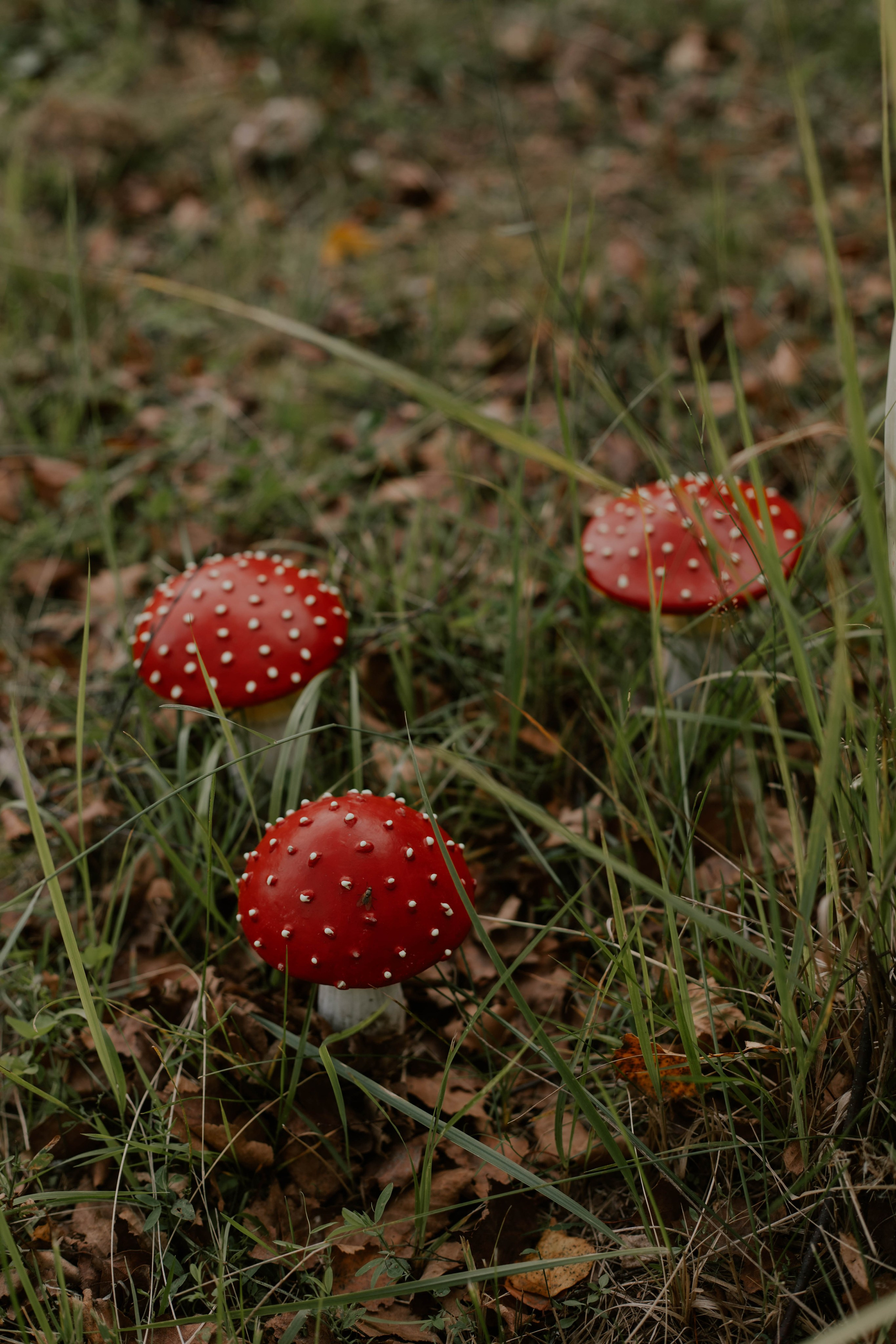 У бабушки летом ♡