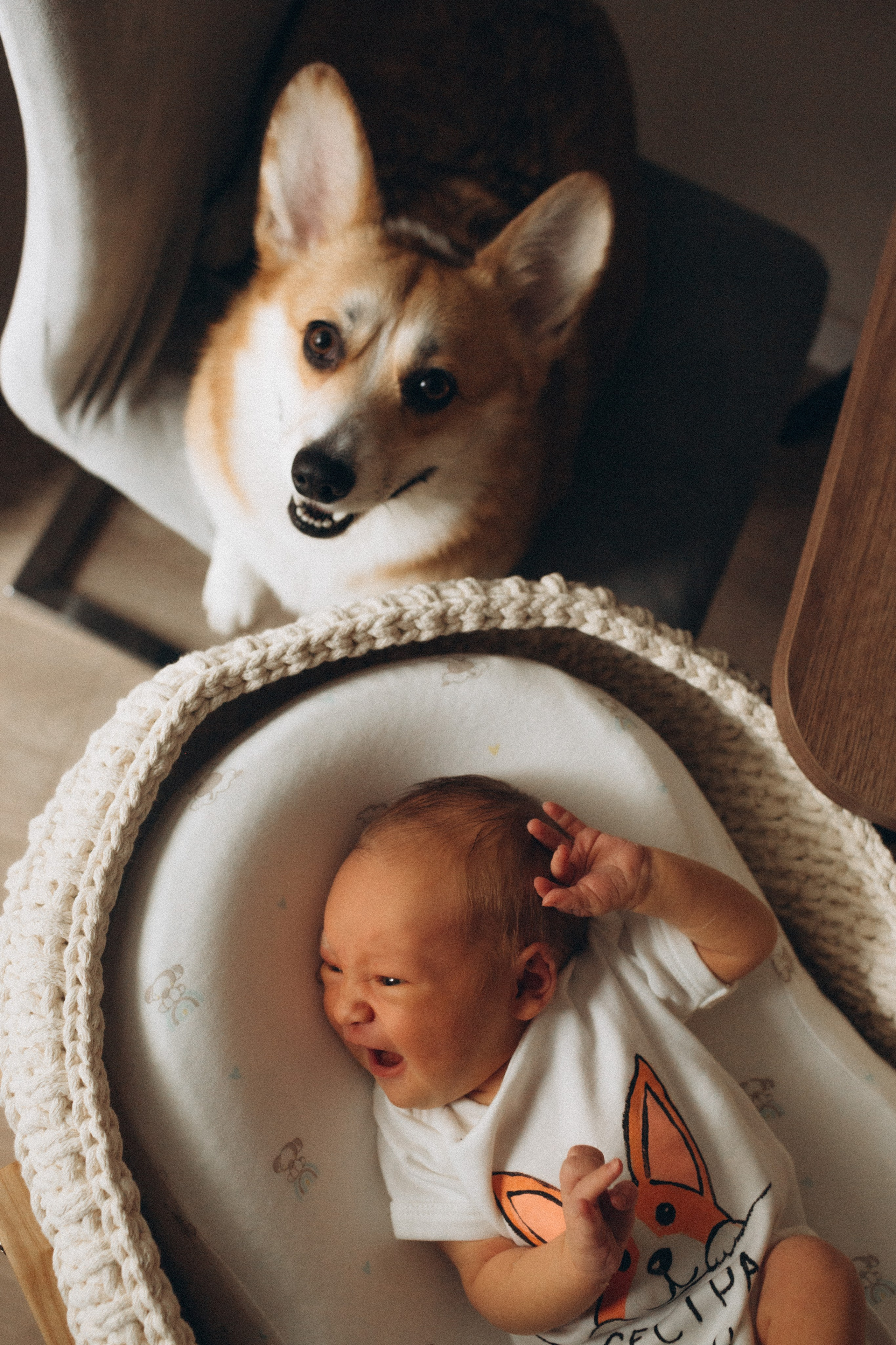 Про Оливию и Лунну. -