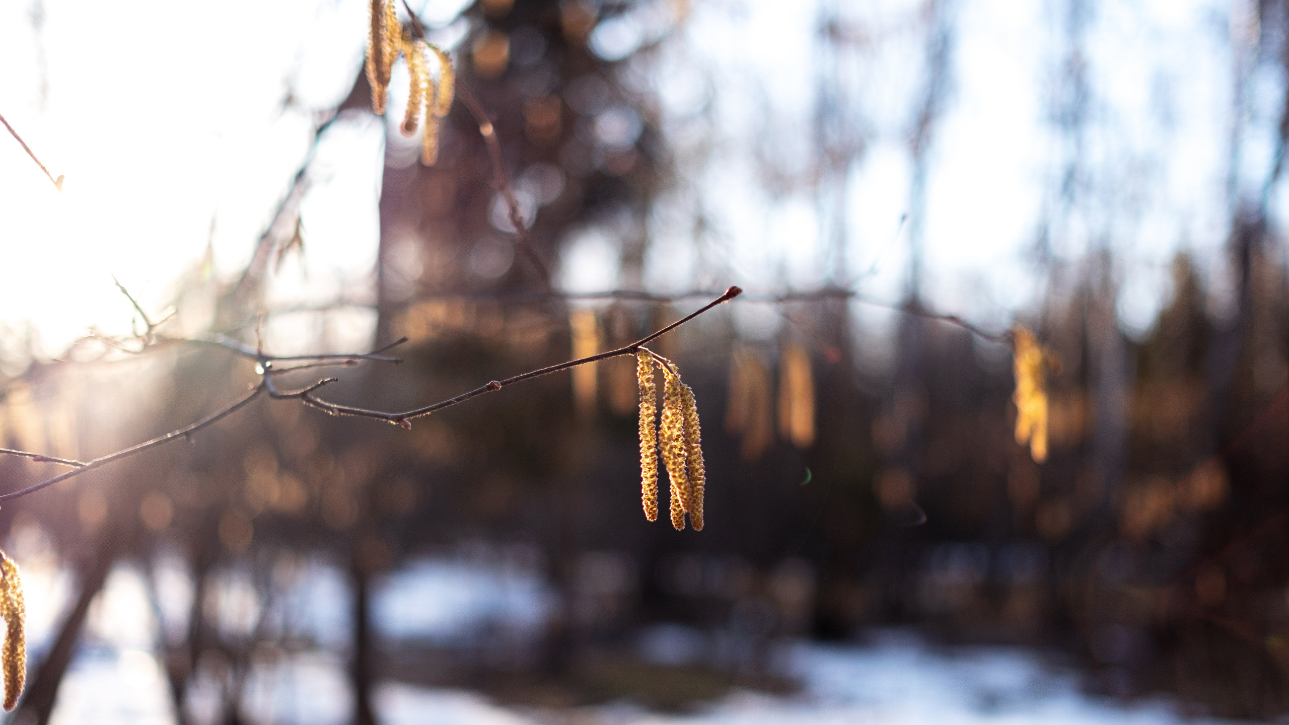 ПЕРЕДЕЛКИНО. ПОБУДЬ ЗДЕСЬ И ЦЕЛЕЕ БУДЕТ ЭТОТ МИР