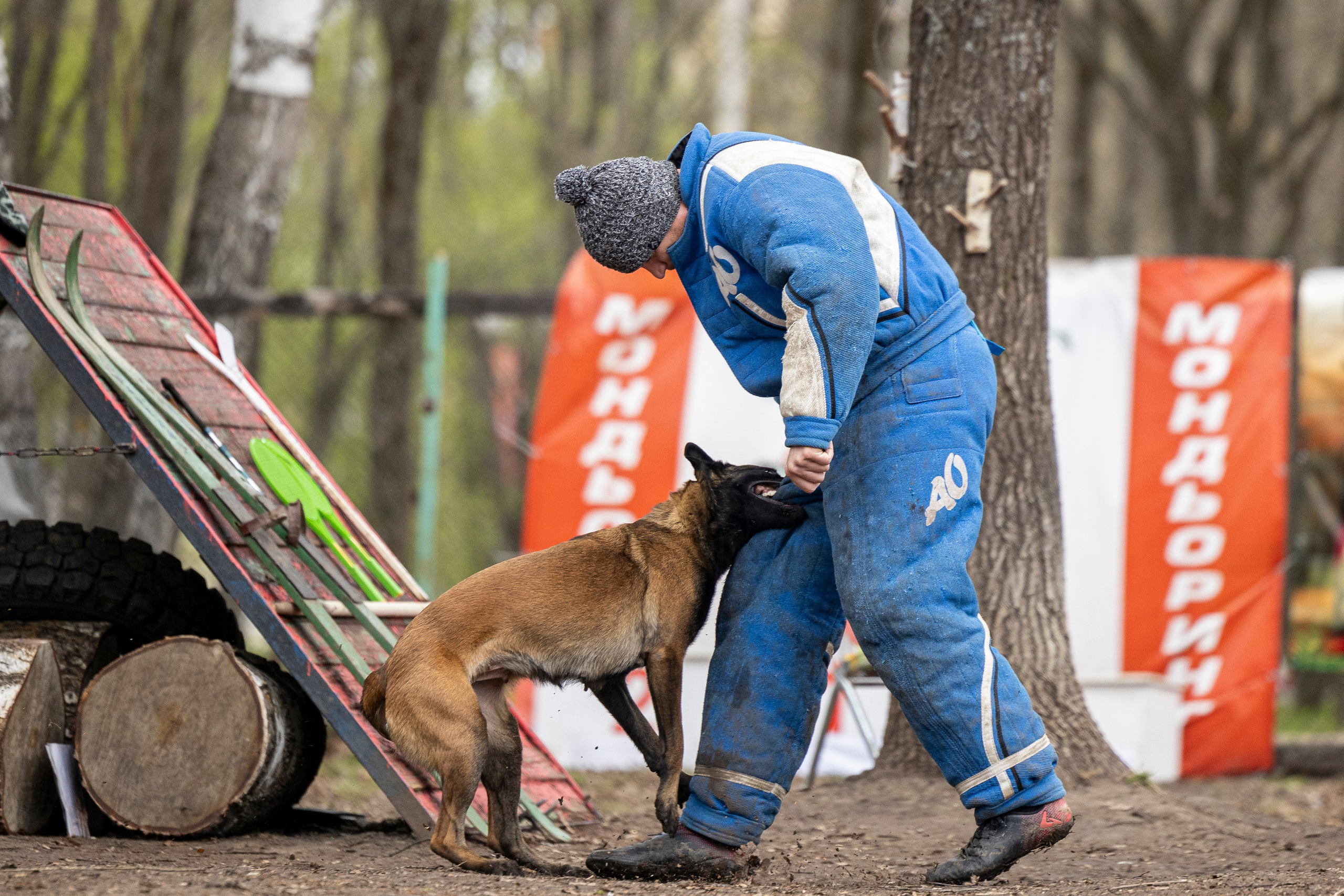 Квалификационные состязания по мондьорингу г. Вологда 11.05.24. Фотограф-анималист Анна Маринич