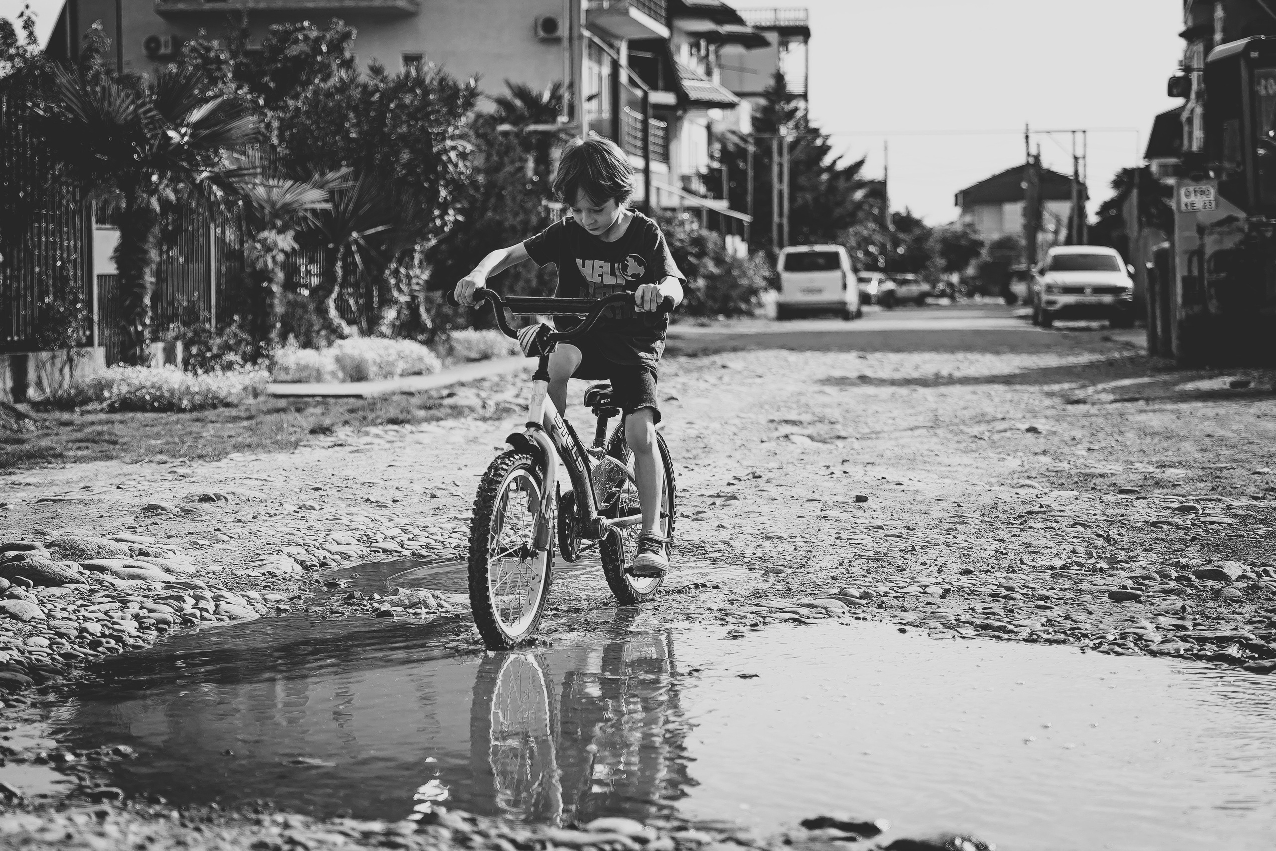 Тарас. Май 2025. Свадебный и семейный фотограф Колоскова Мария (Сочи и весь мир)