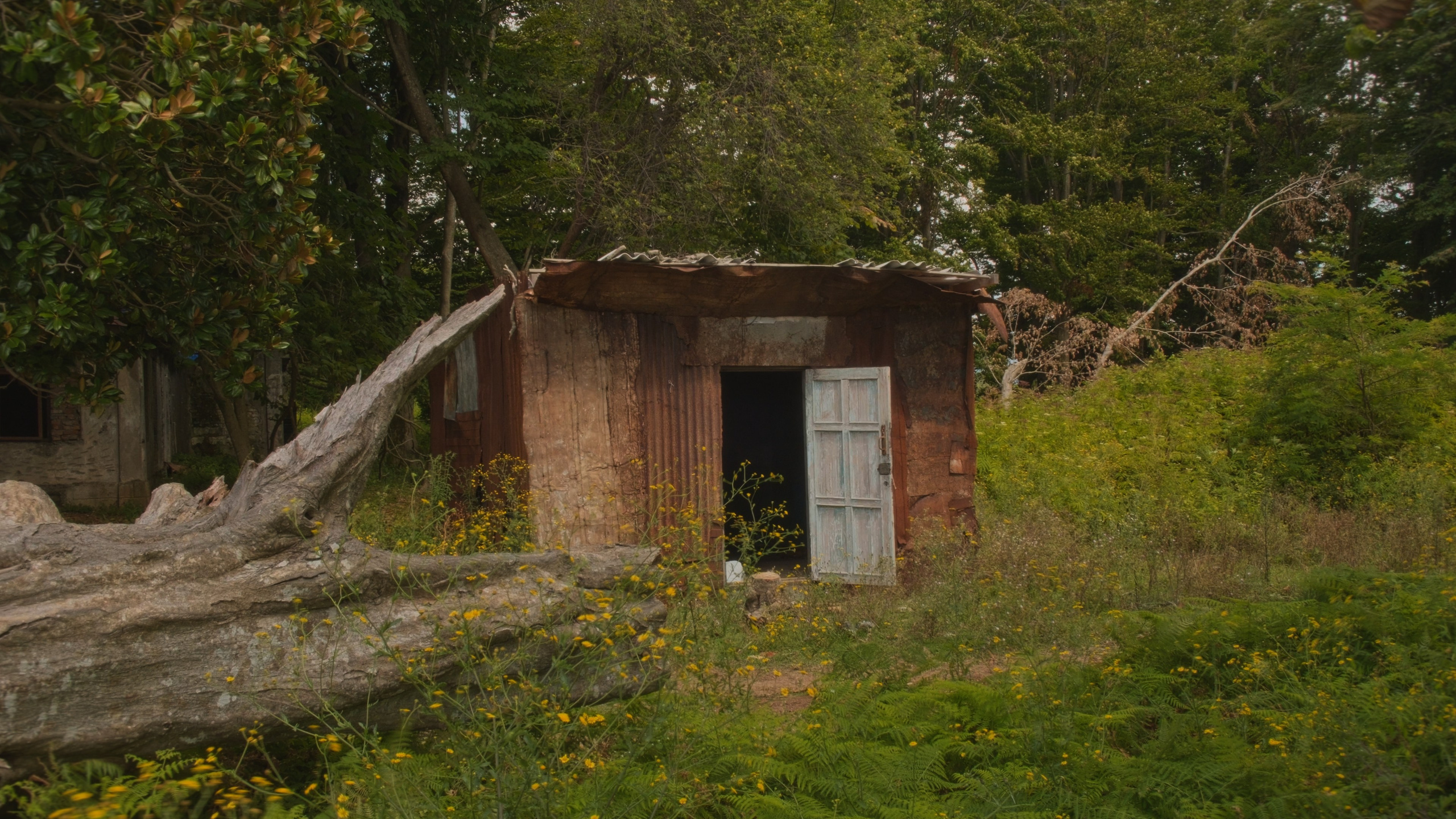 Серая Баба. Абхазия. Главная