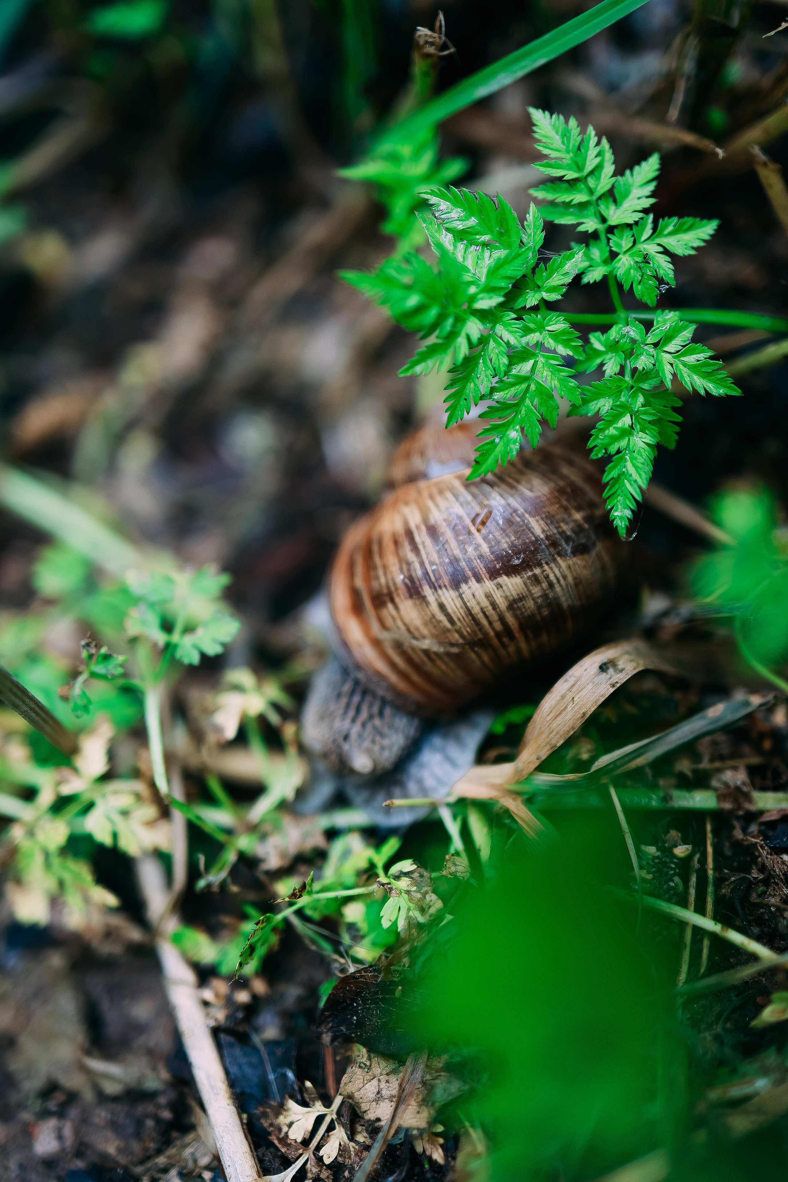Белые Луга. Детский и семейный фотограф Малых Ольга г. Салехард