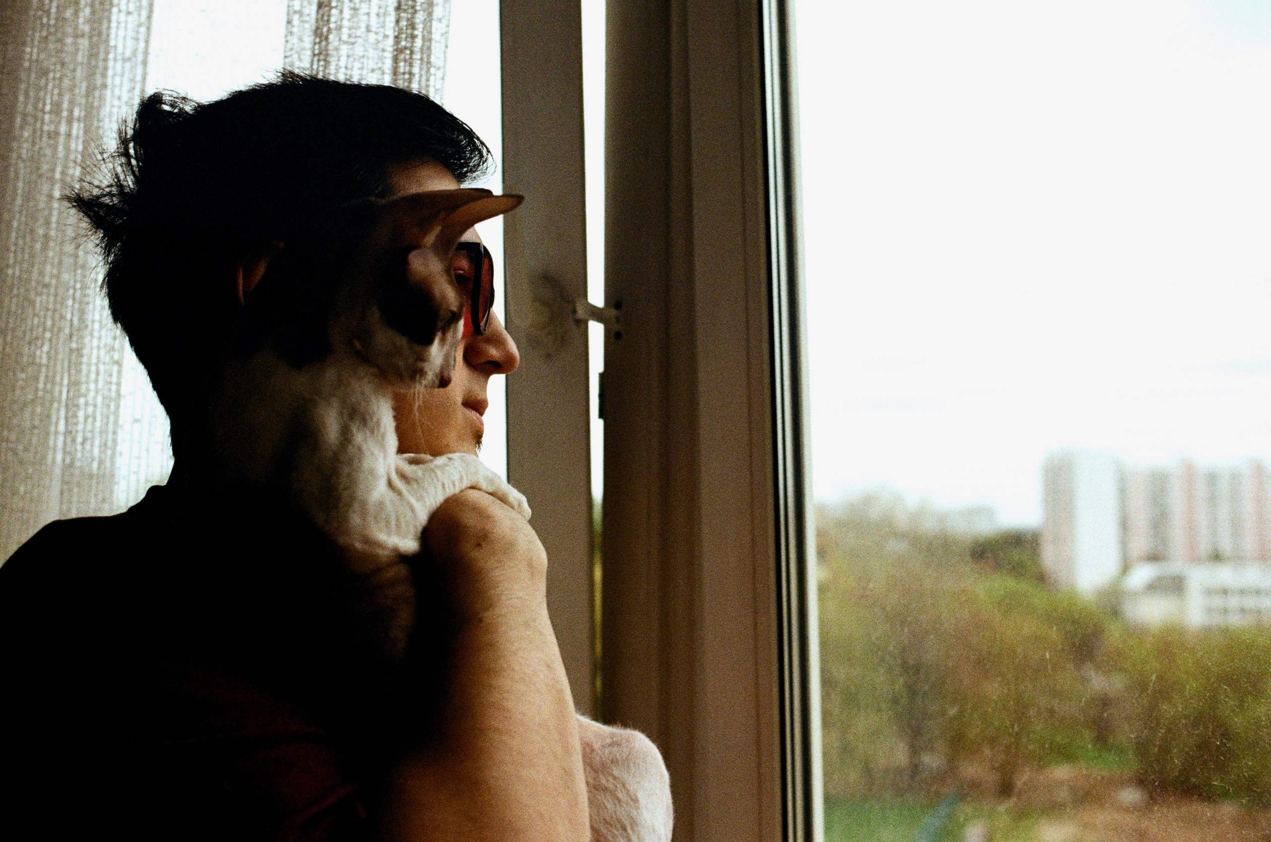 Film. Ruslan UI Dev Page