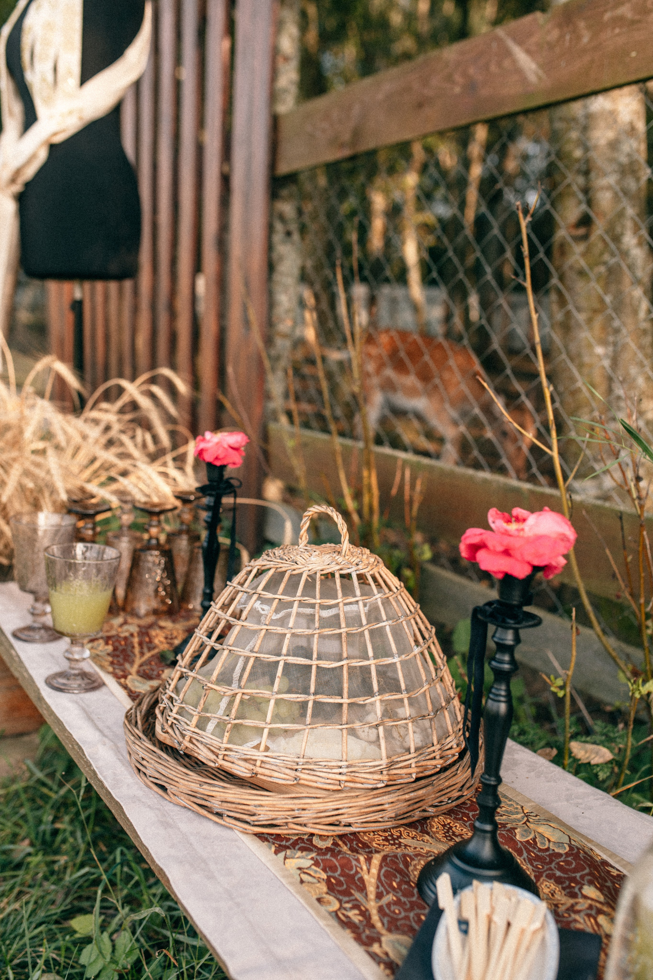 Суаре на ферме. Фотограф Светлана Васильева