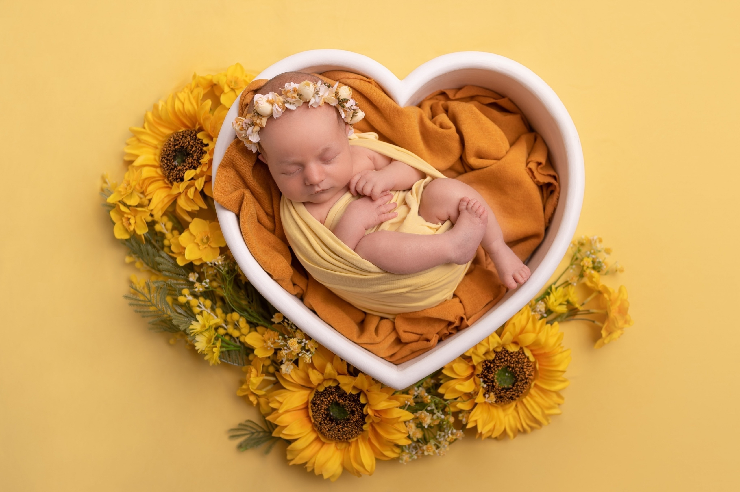 Алиса. ВАША СЕМЕЙНАЯ ФОТОСТУДИЯ