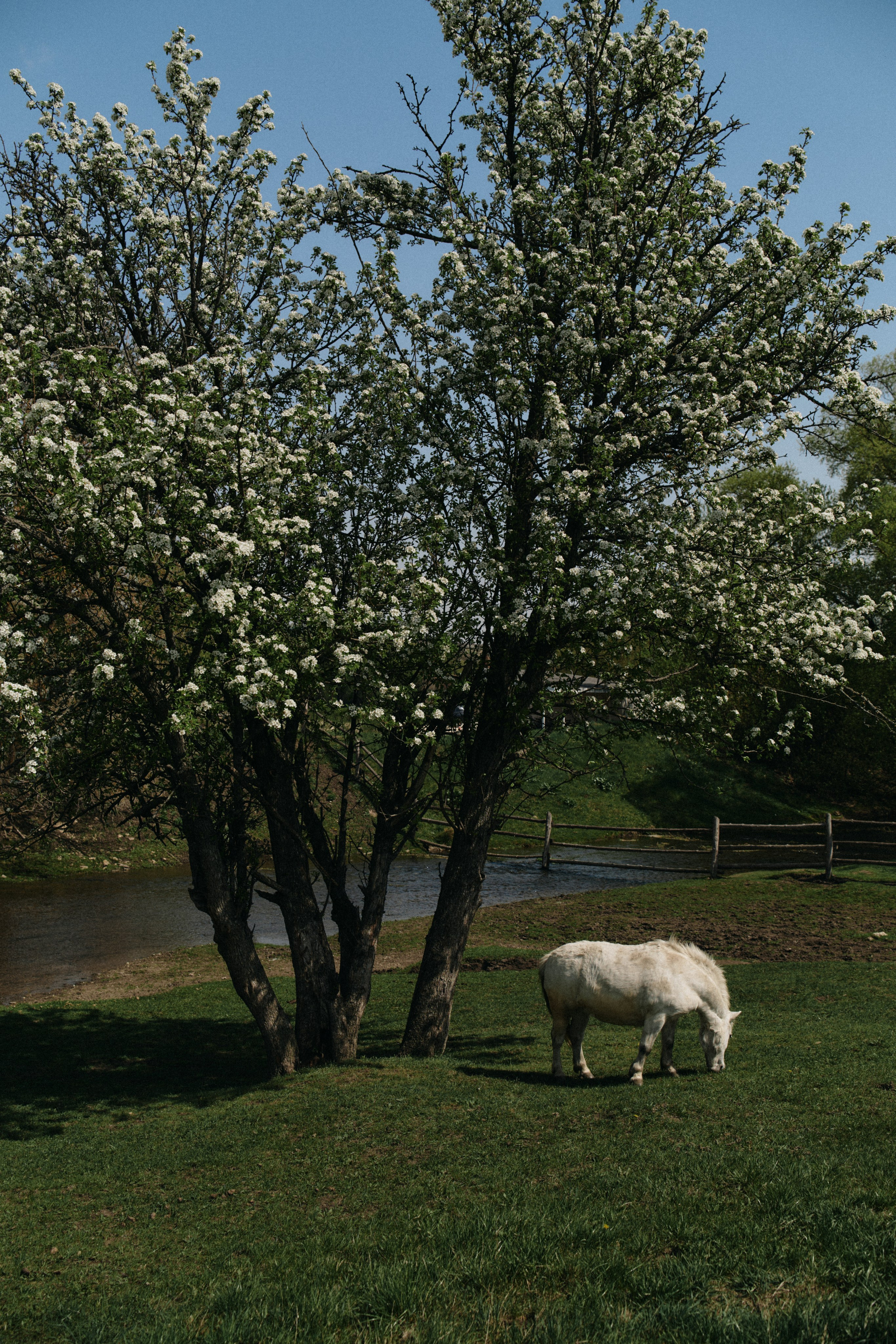 BAON x Кудыкина Гора. Фотограф Сурков Никита