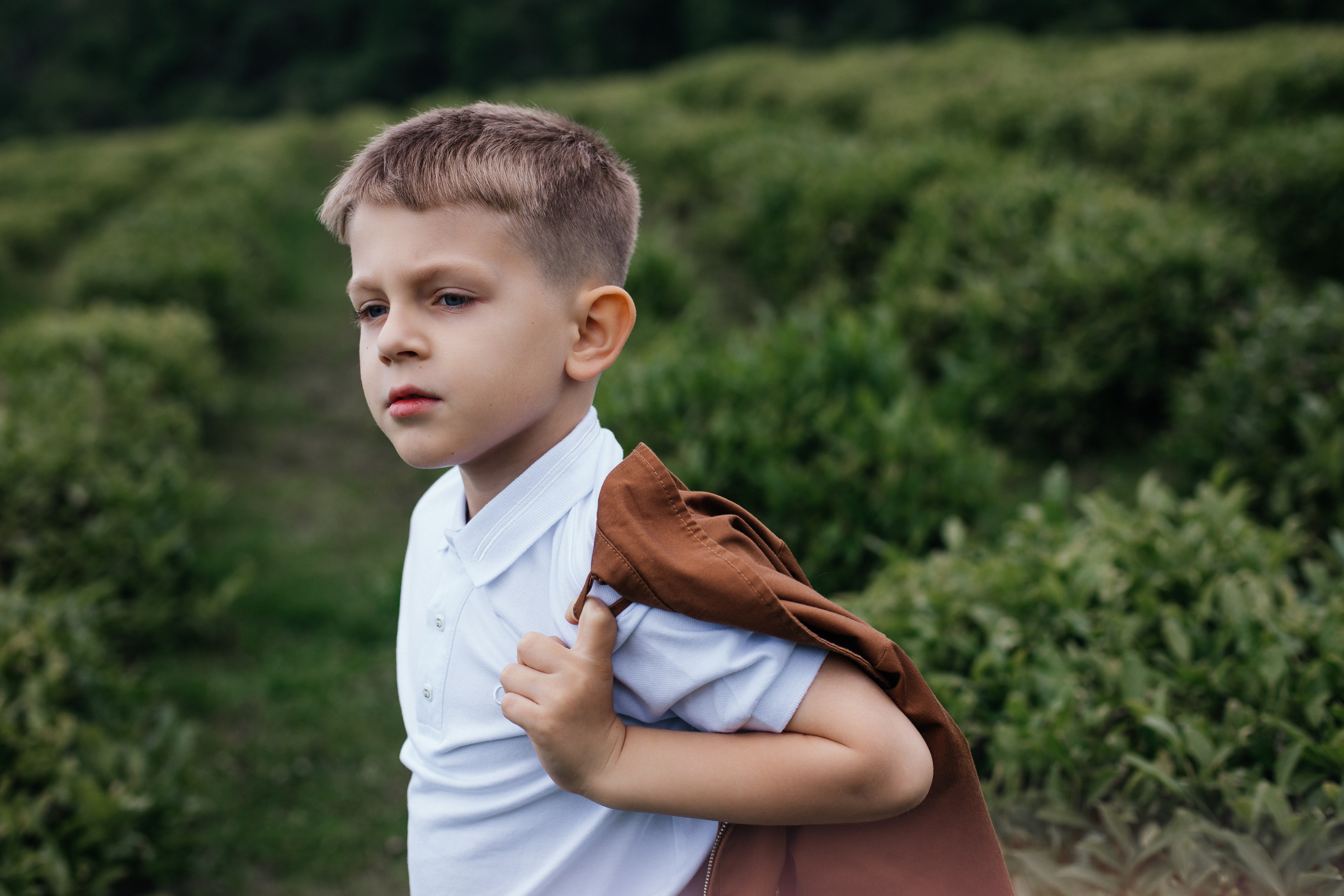 Tea plantation. Efimova Model Agency