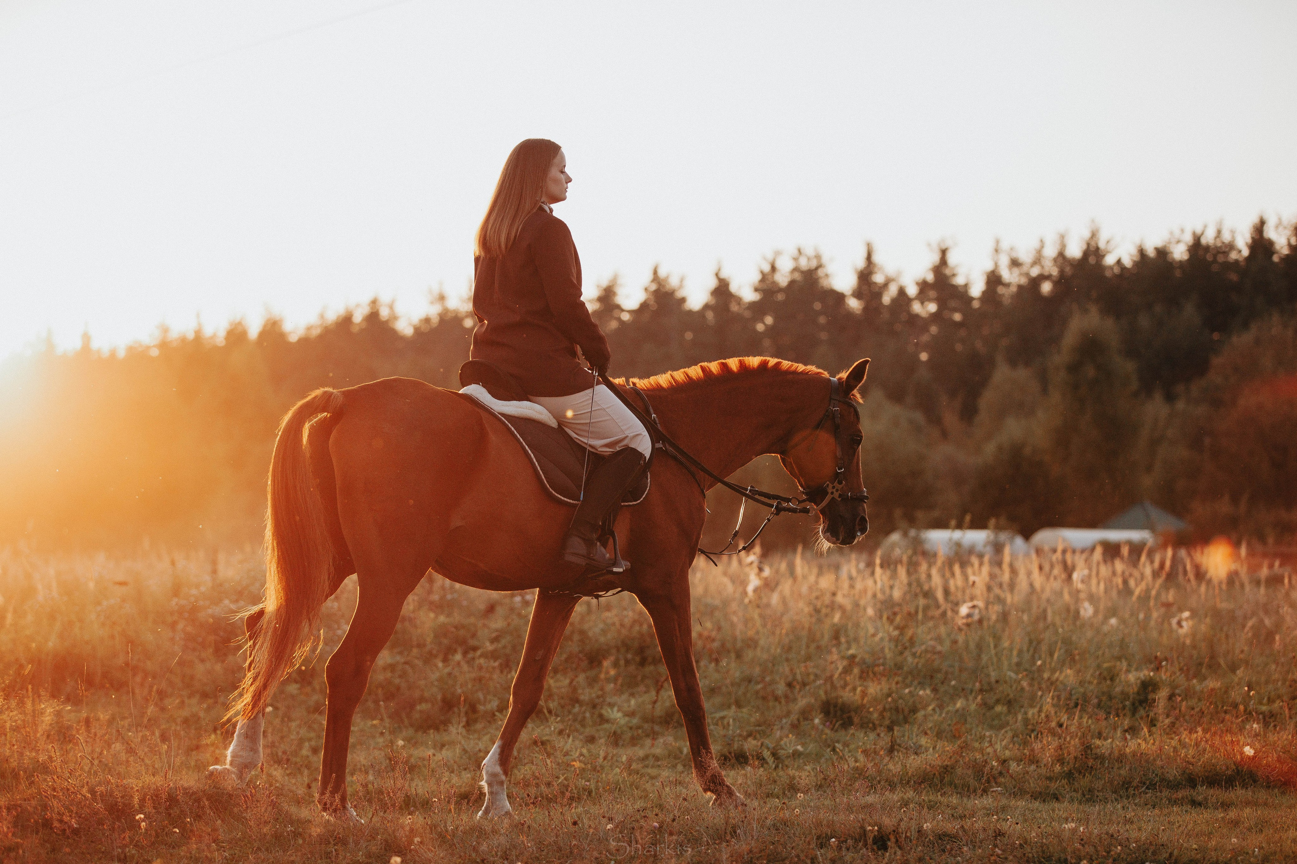 Аня и Гас. Главная