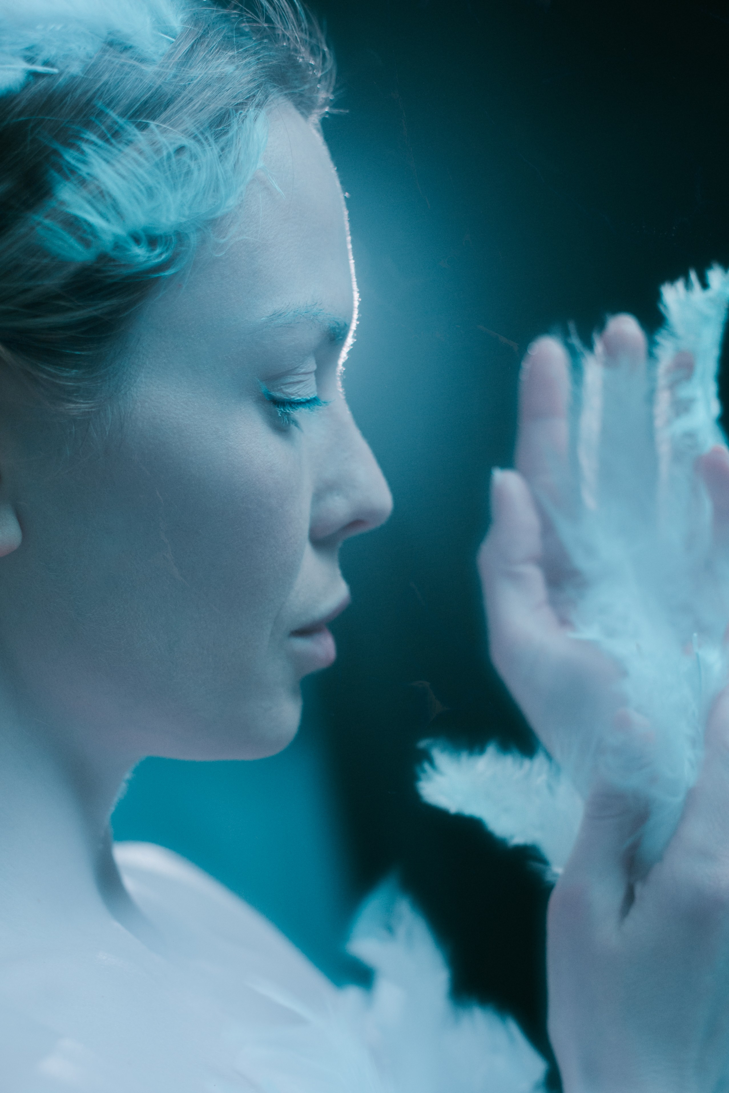 SWAN. Настоящие портреты и истории