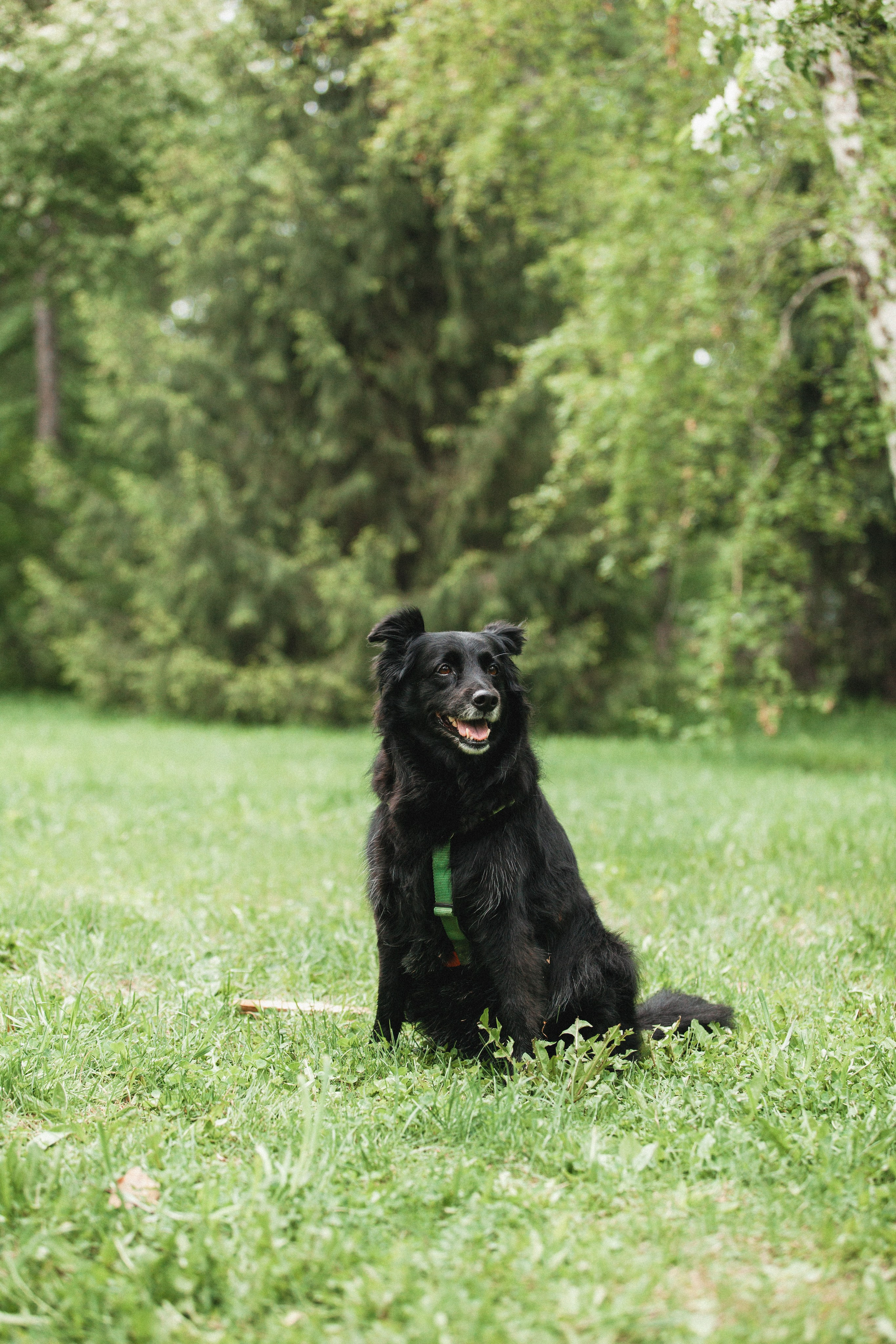 Ваши фотографии. Фотограф анималист Осипчикова Мария