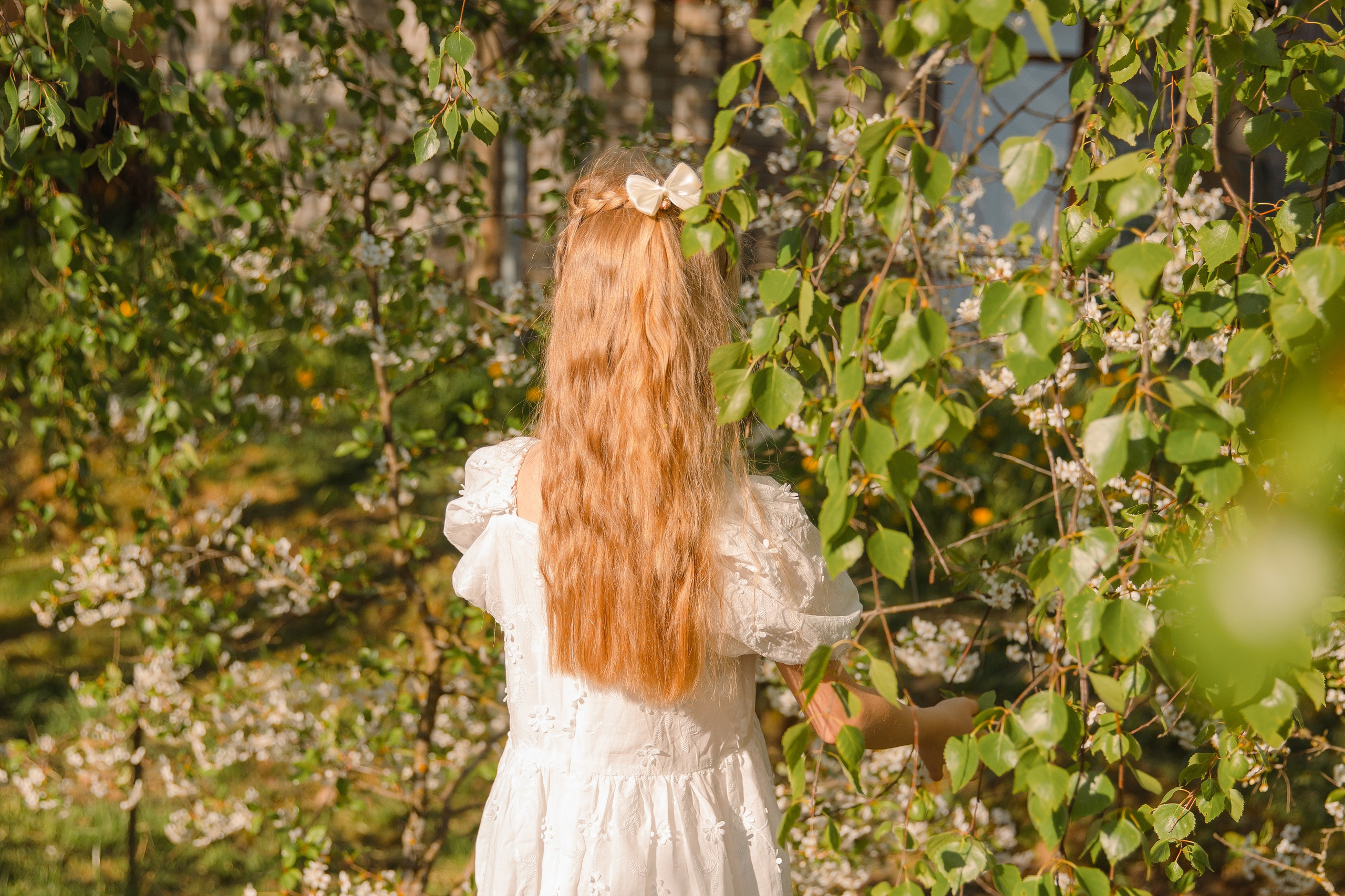 Цвет яблони. Свадебный и семейный фотограф в Санкт- Петербурге Гугучкина Полина