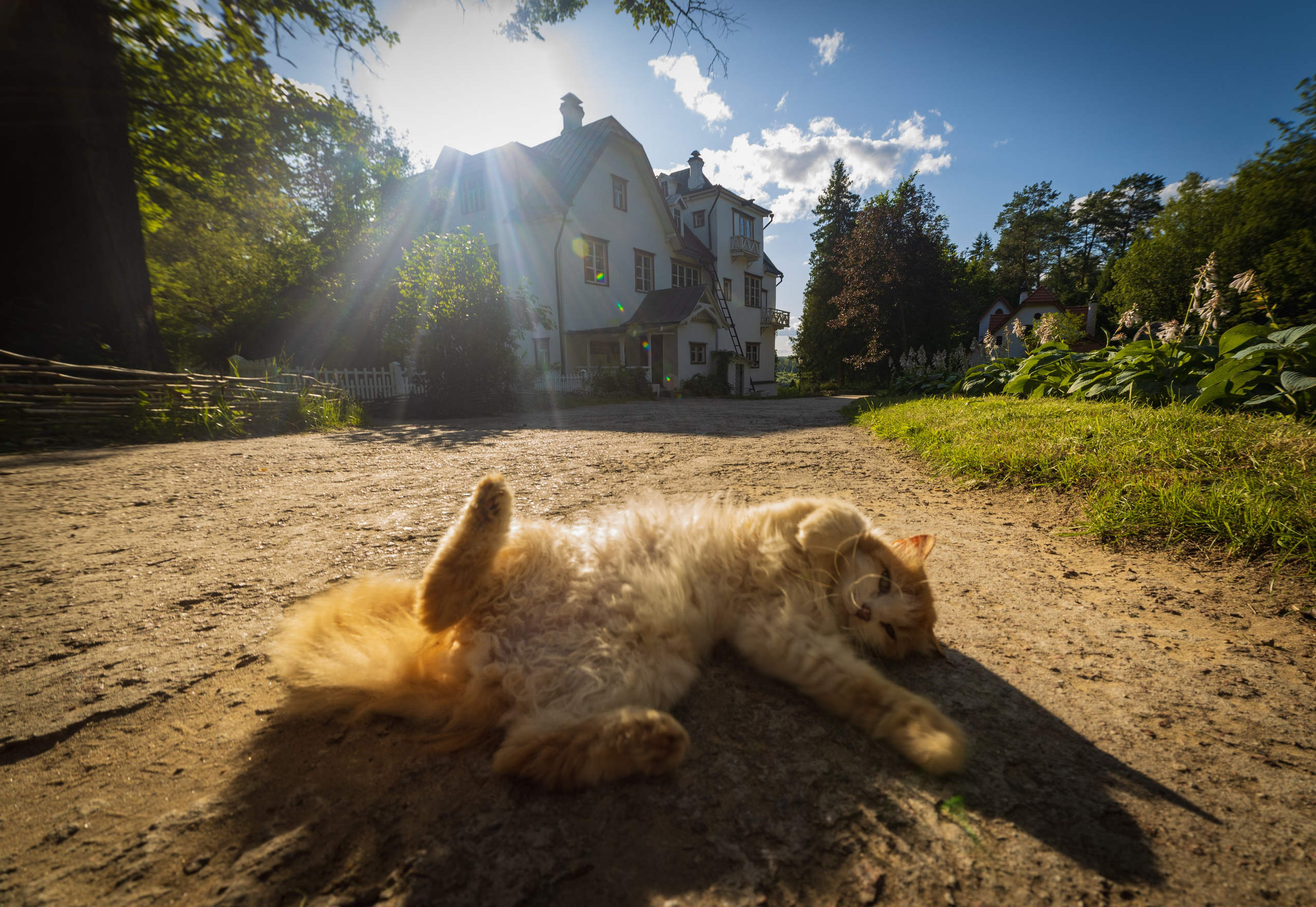 Заокский район. Фотохудожник Артём Парамонов