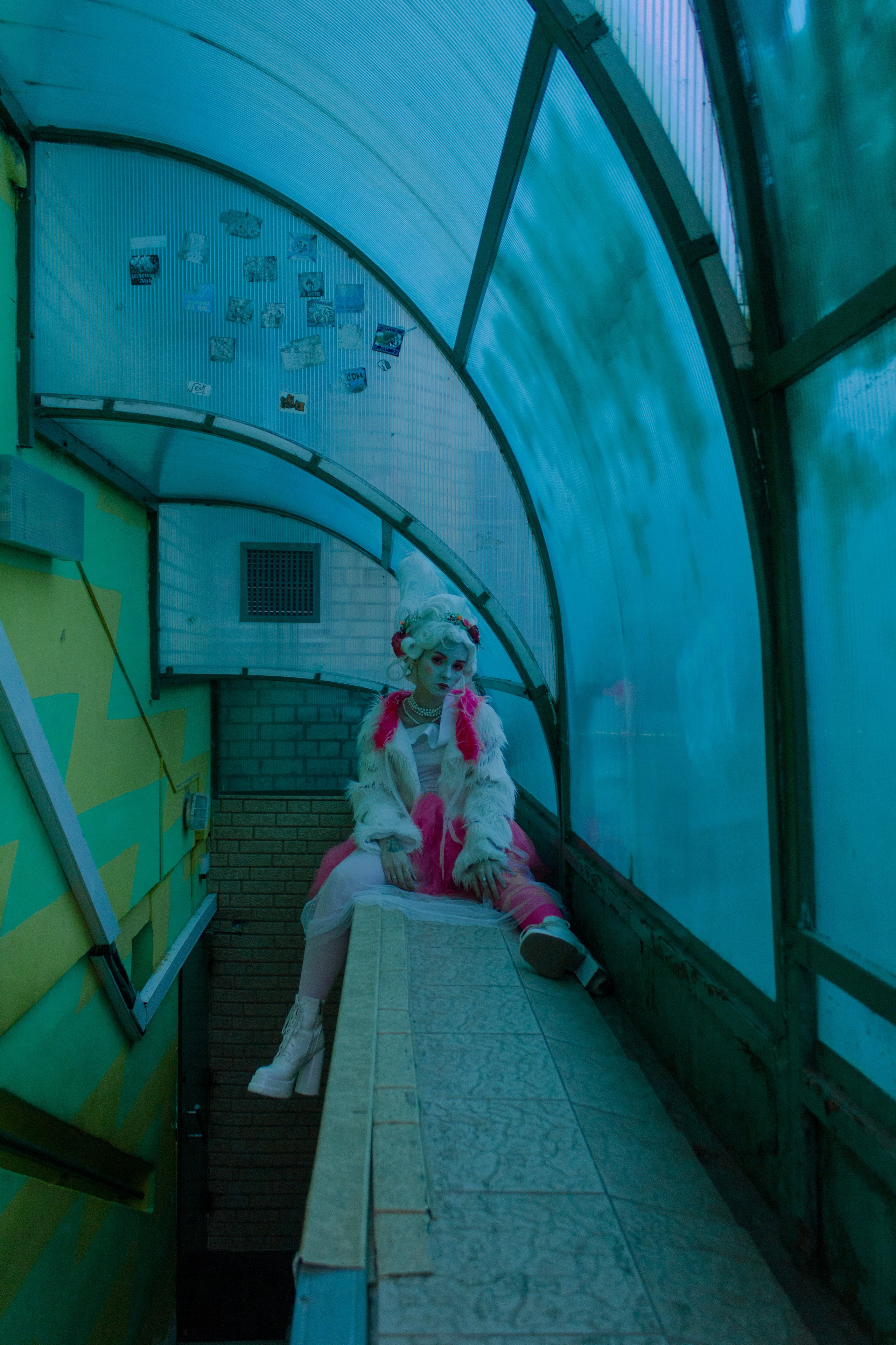 Дама, а вы к нам откуда?