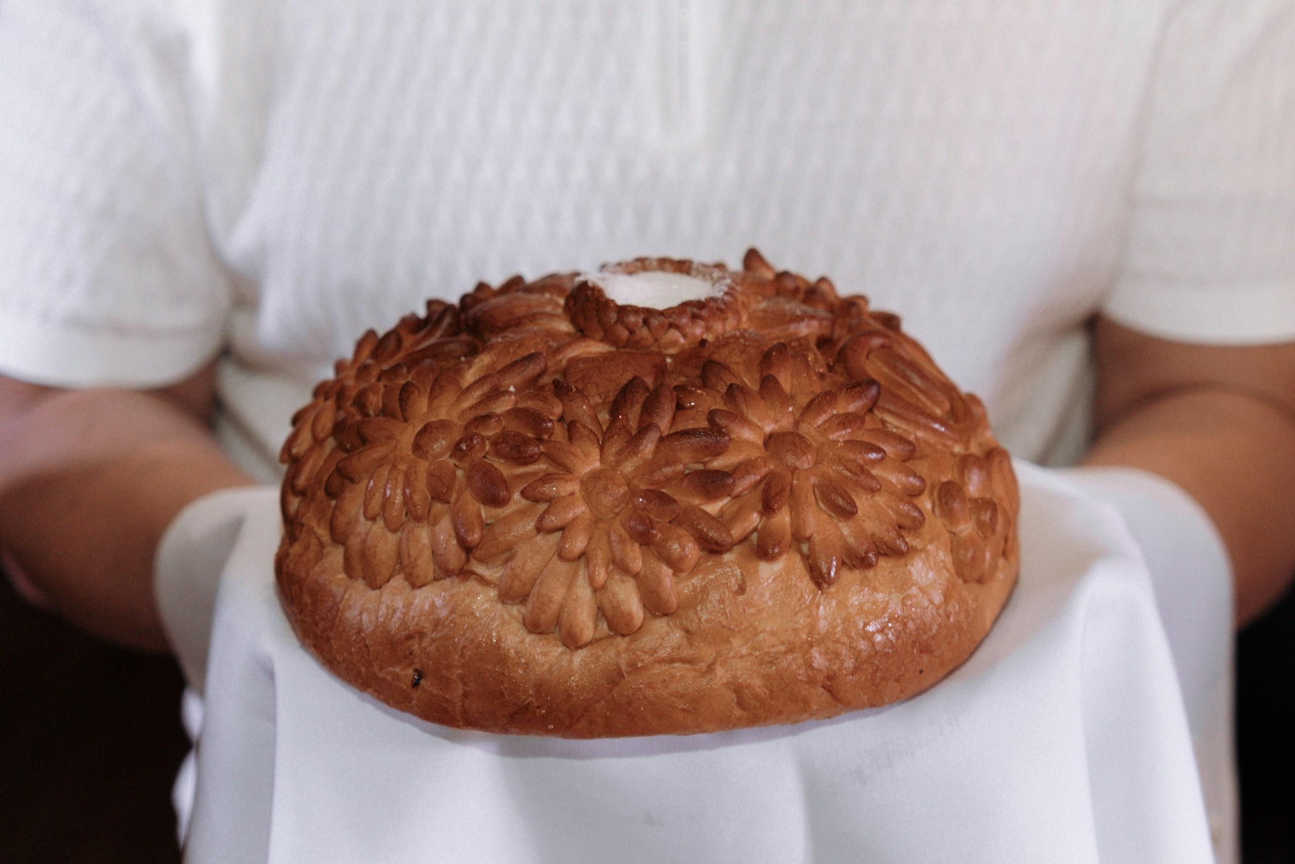 Свадьба Анастасии и Евгения, Картинная галерея, прогулка в лесу. Ресторан «Хлеб и Винотека». Свадебный фотограф в Тамбове Павел Четвертков