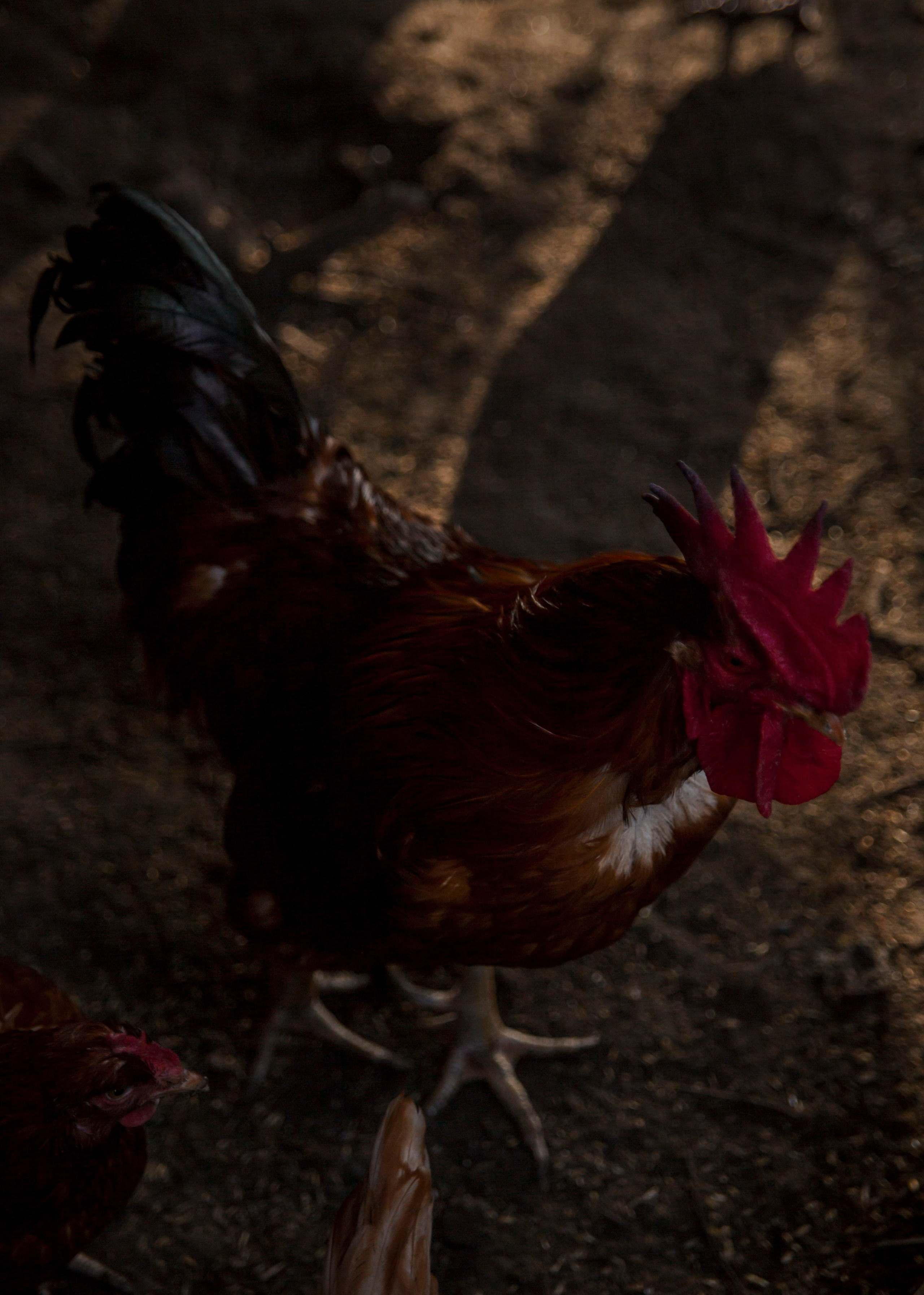 Backstage со съёмок фильма «Reverenсе». Портретный фотограф в Москве Дарья Цезария