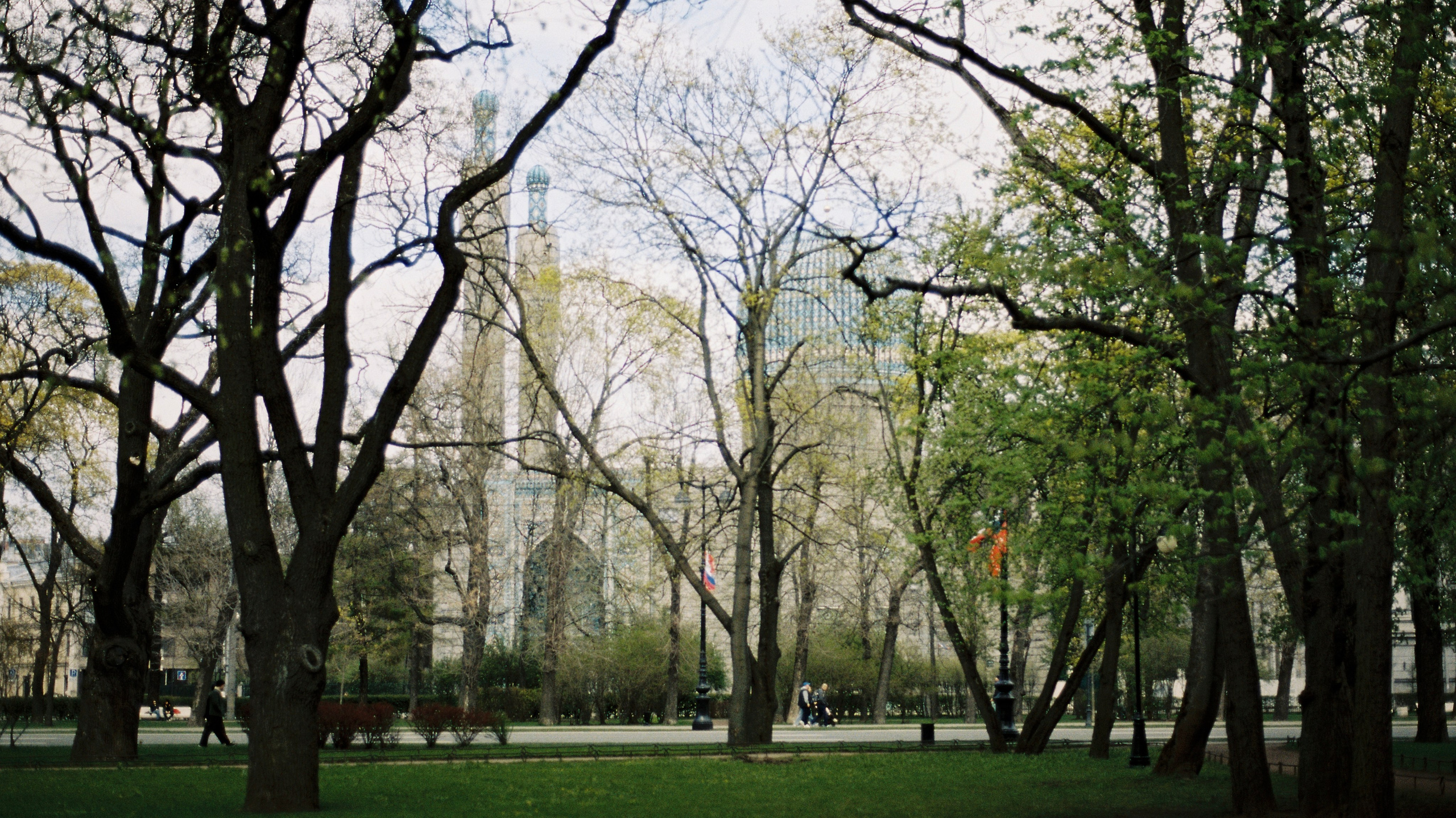 Весной 2025. ФОТОМЕТАОХОТА