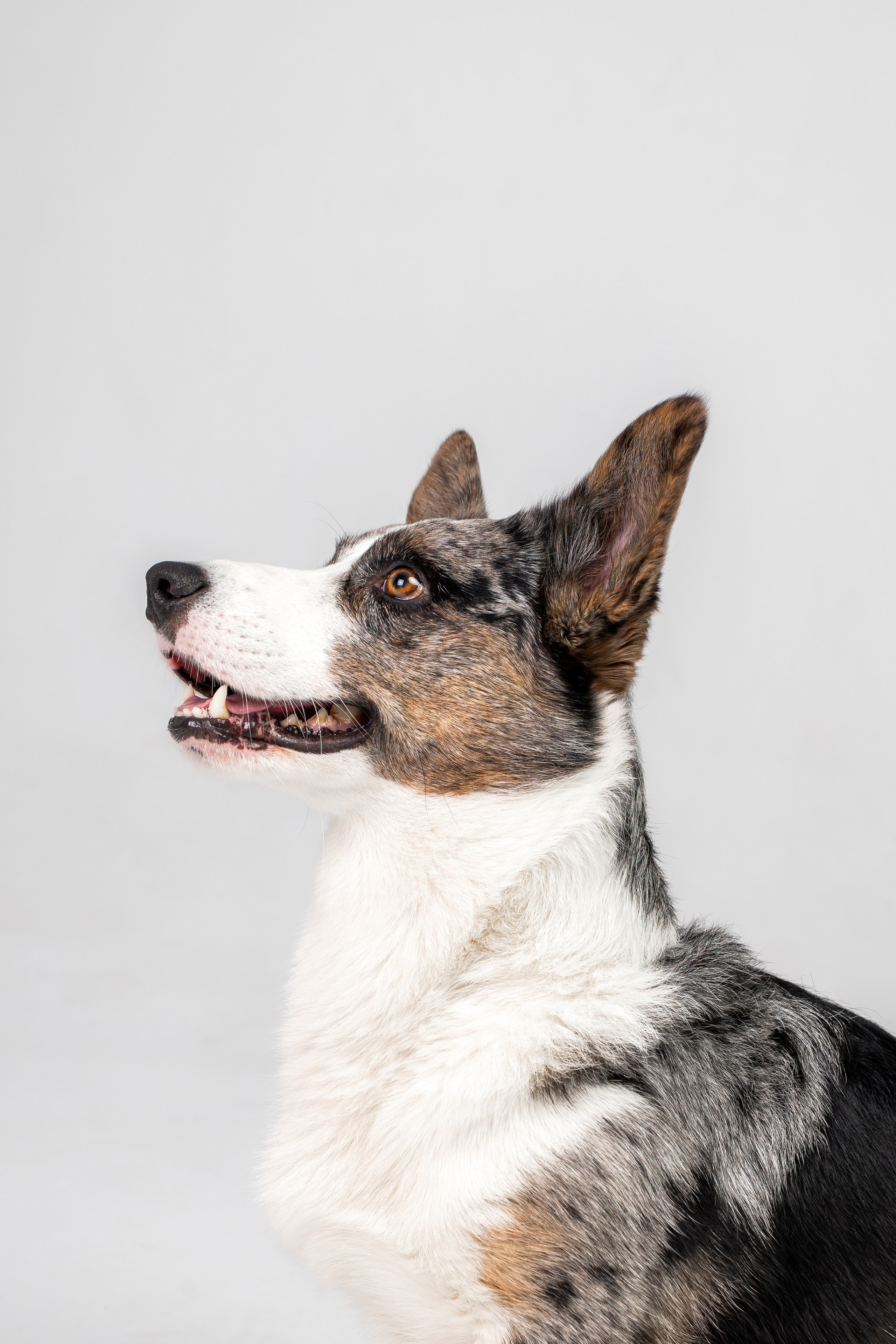 Анатолий и Рагнар