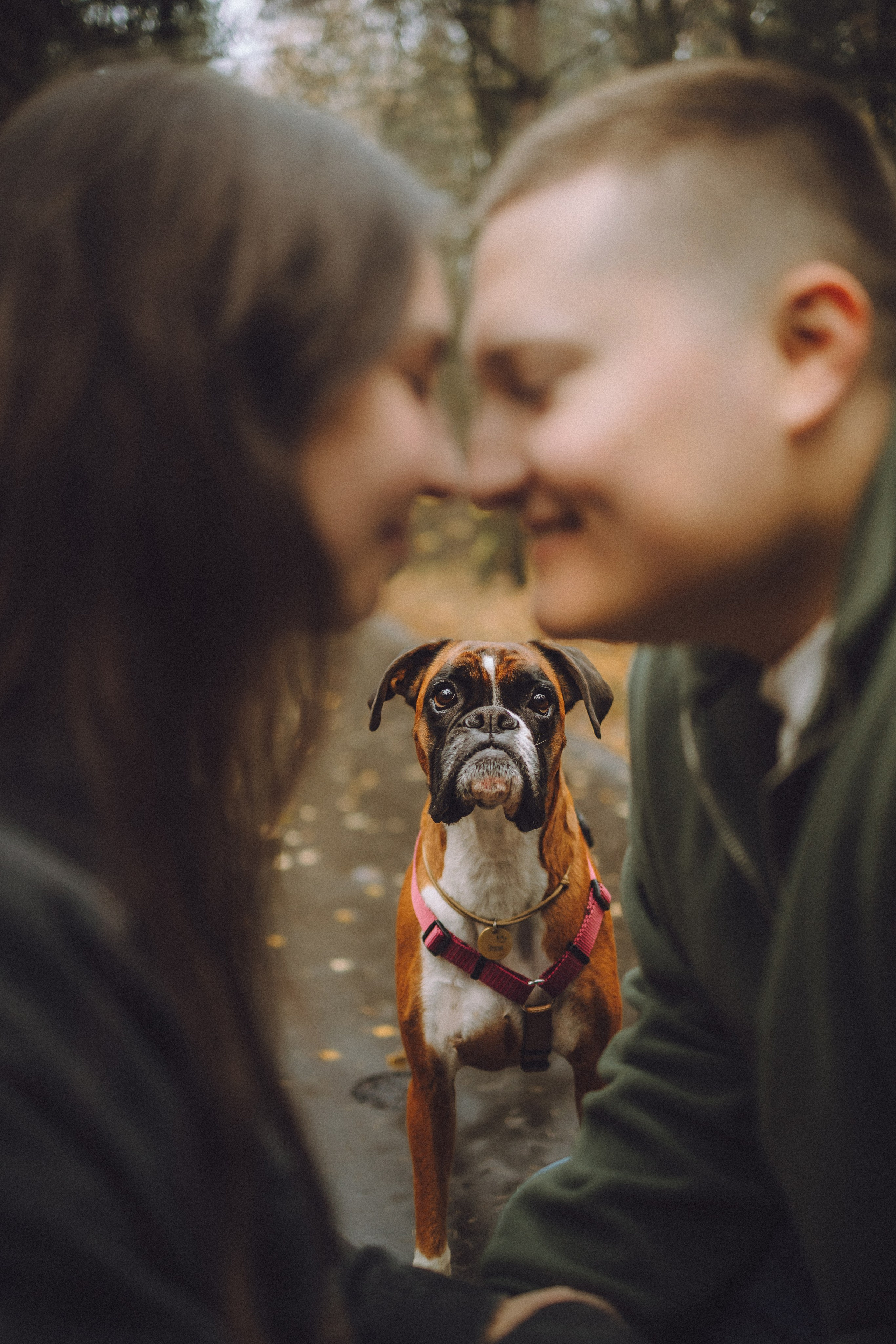 Элли и ее семья