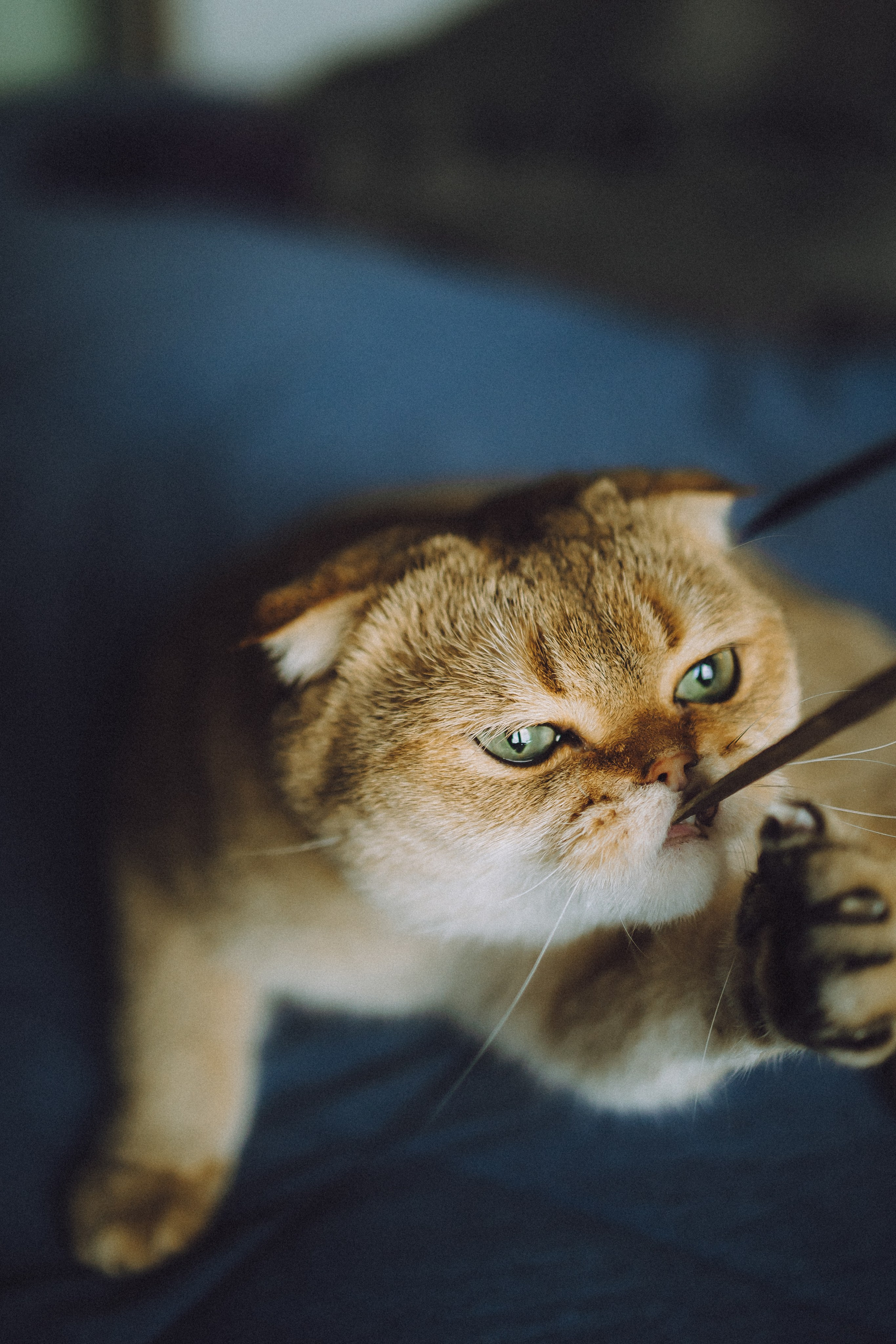 Генри и его семья