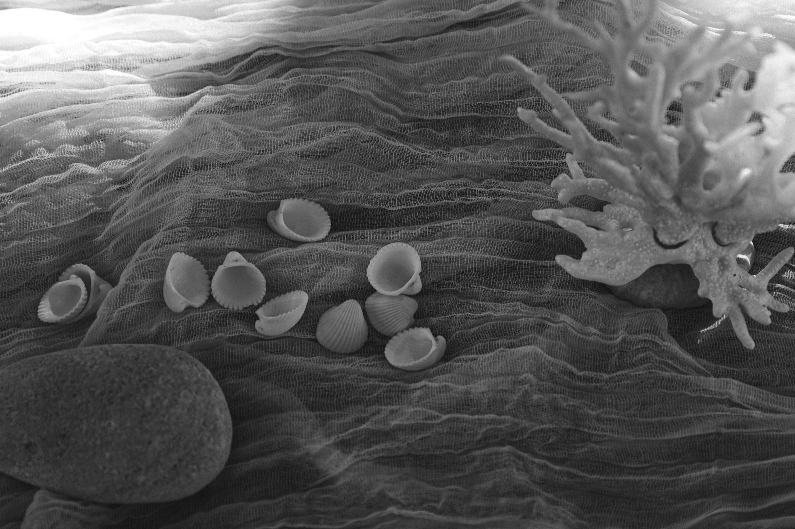 Александр и Полина