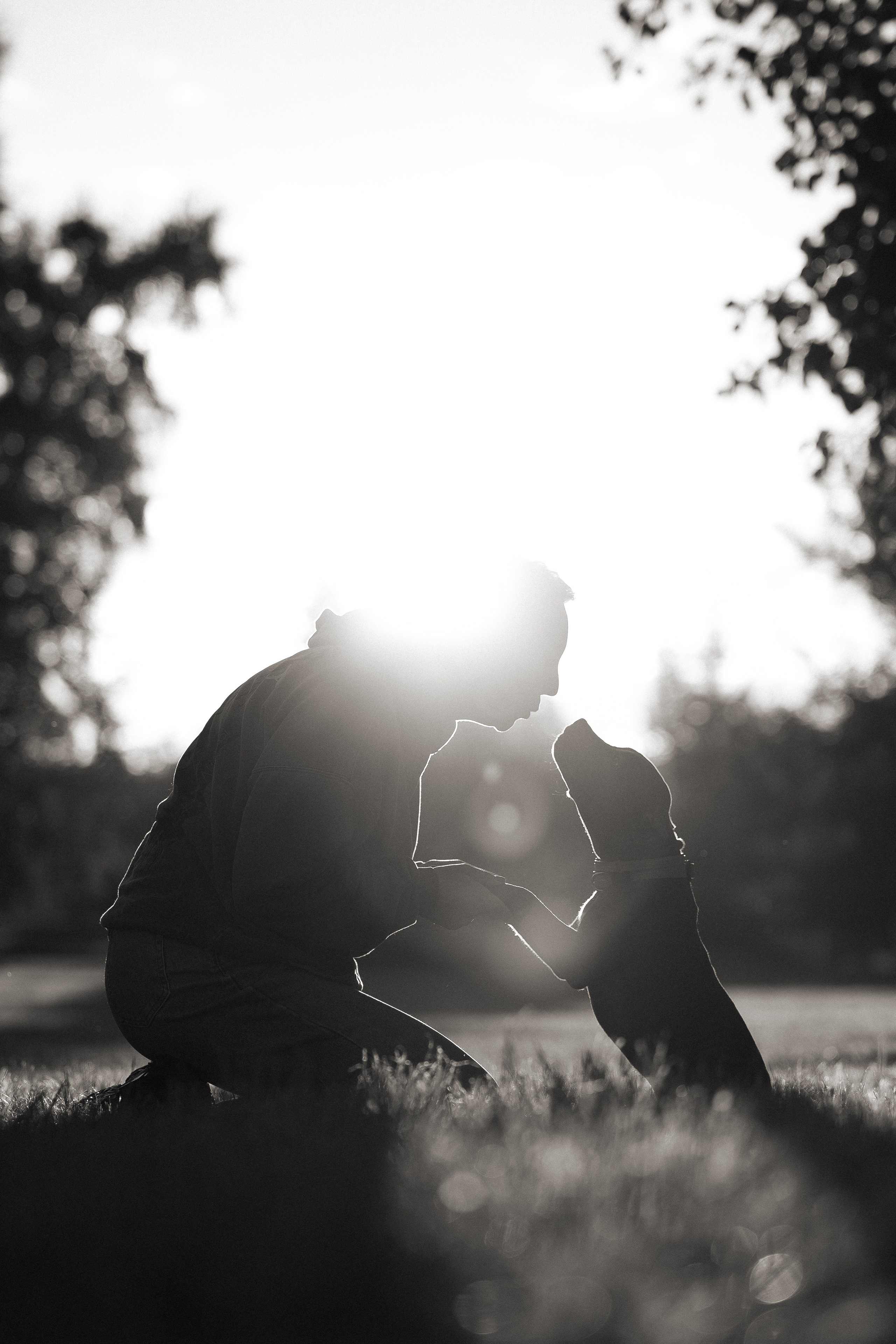 Елена и Хан. Фотограф и видеограф анималист Аганина Дарья