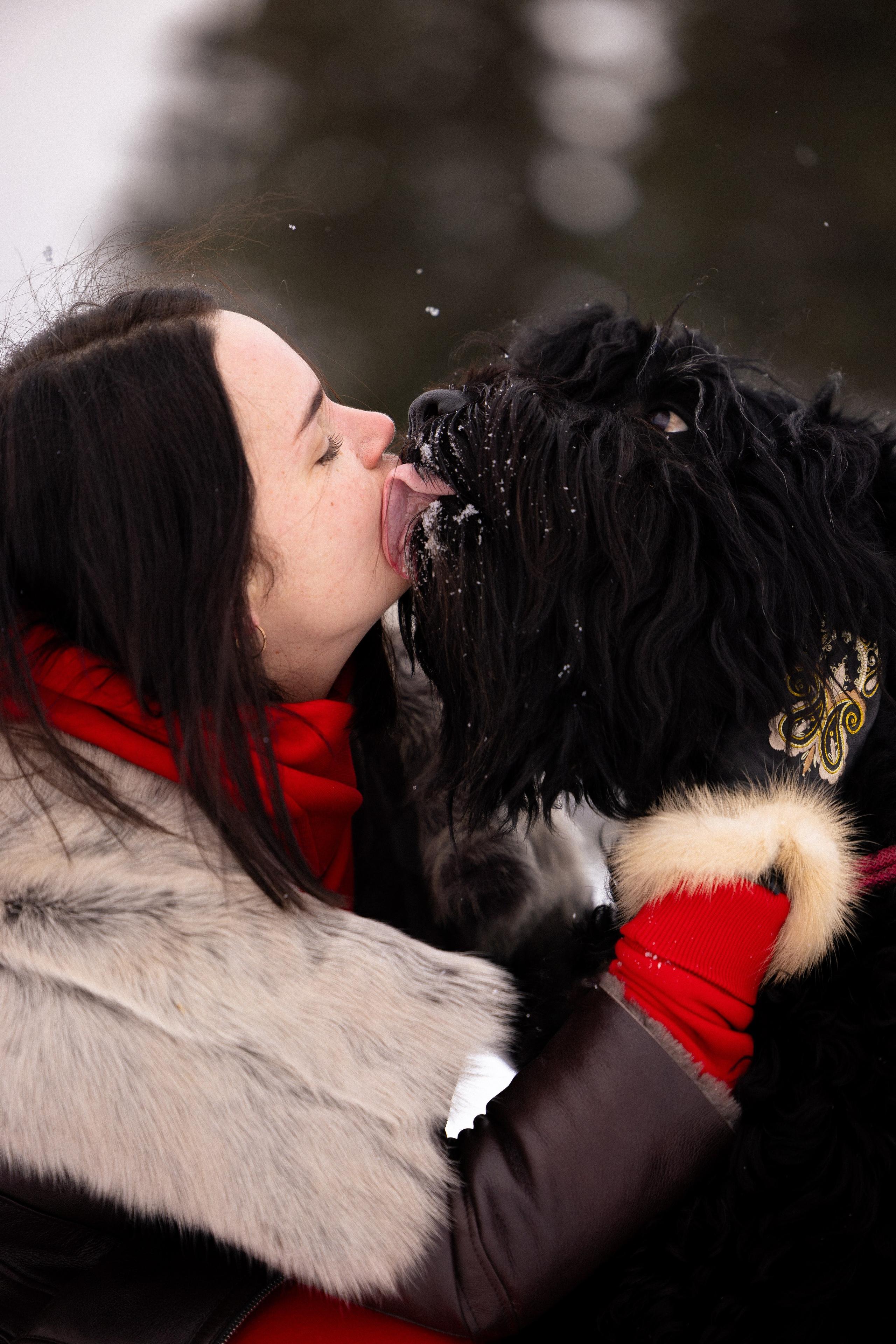 Анастасия и Ирга. Фотограф и видеограф анималист Аганина Дарья