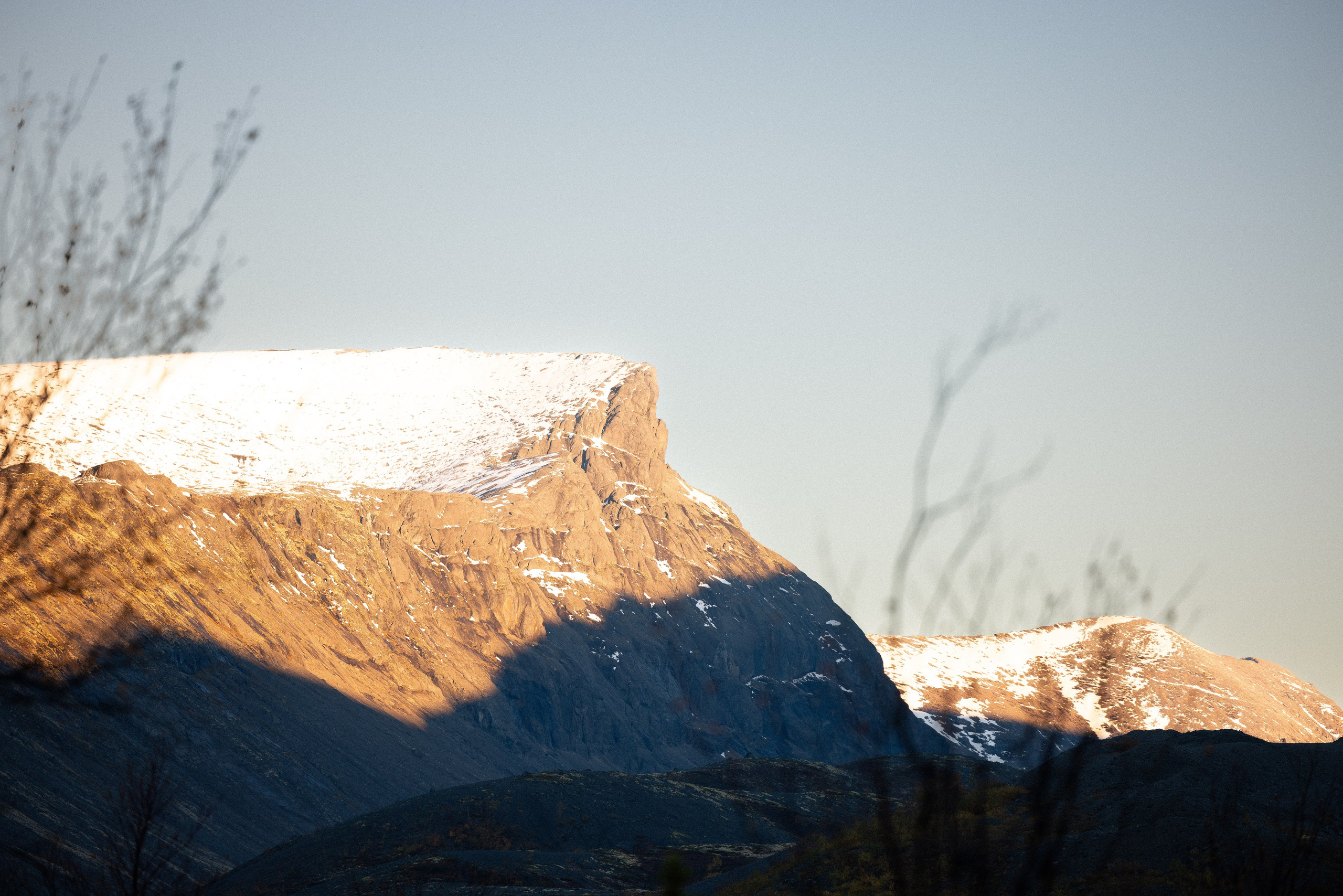 Кольский. Фотограф и видеограф анималист Аганина Дарья