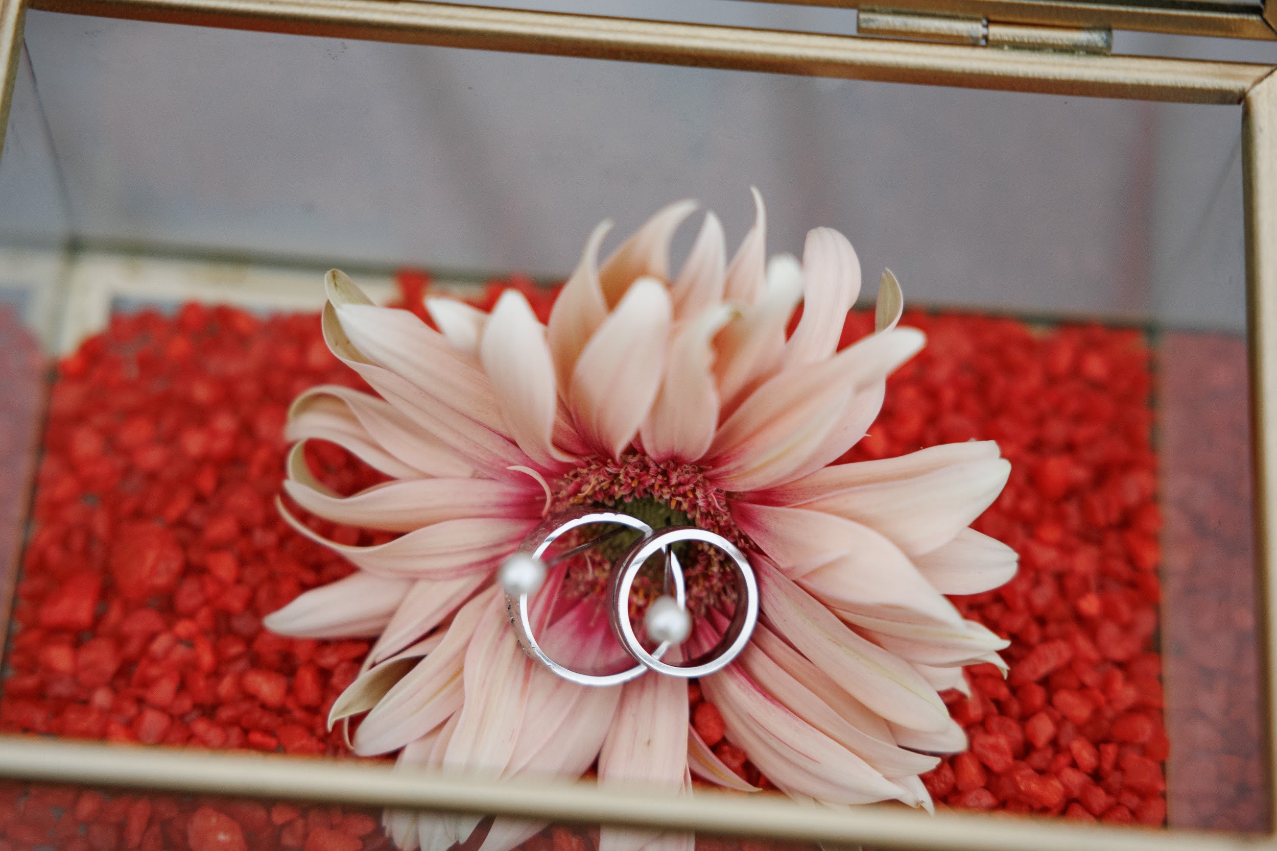 Яркая Свадьба в Графском парке Ростов-на-Дону| Организатор Event-агентство «До Мурашек». Свадебное и event агентство До Мурашек Ростов-на-Дону