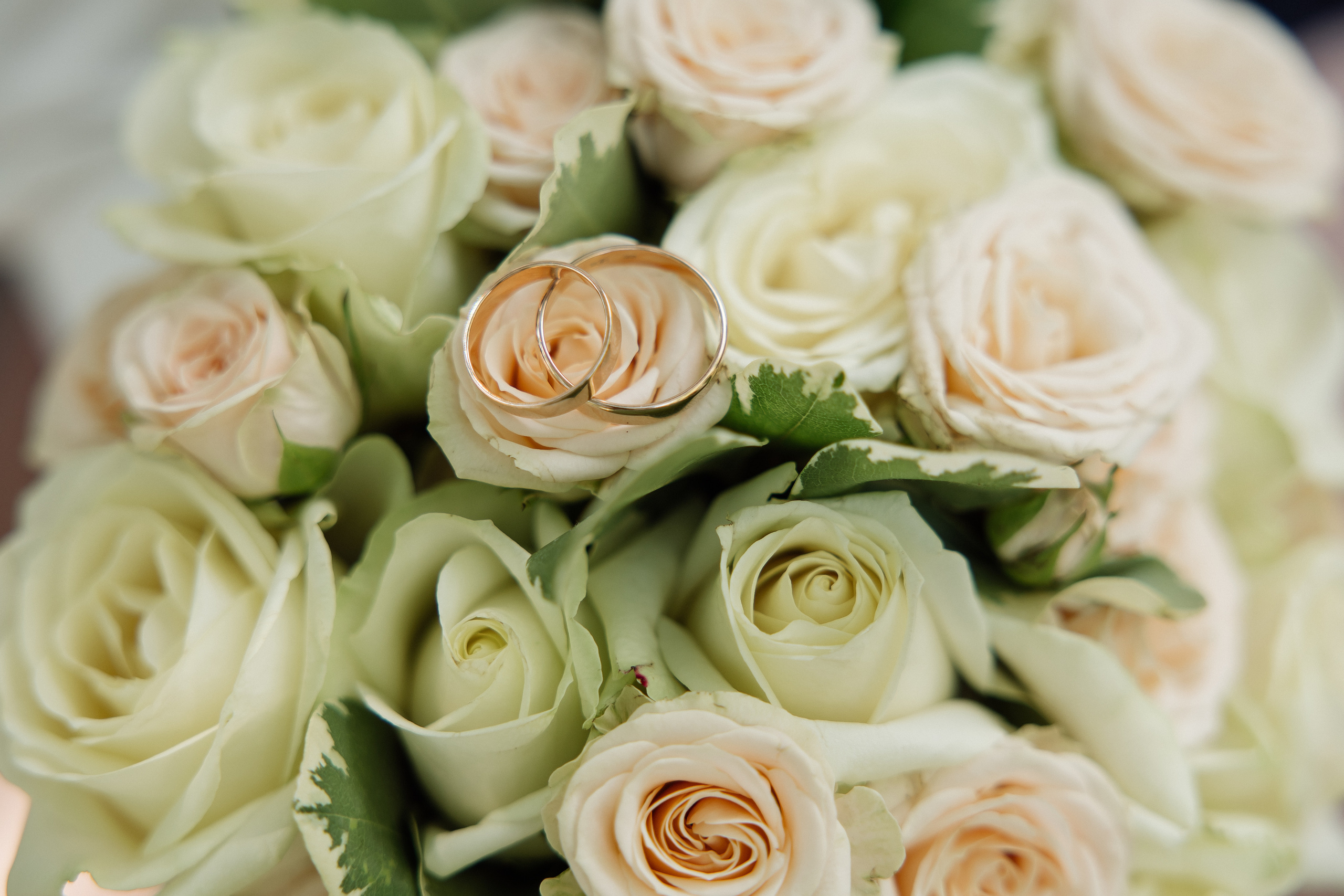 Отзывы о фотографе Марии Донцу. Семейный и свадебный фотограф в Самаре и Кинеле Мария Донцу