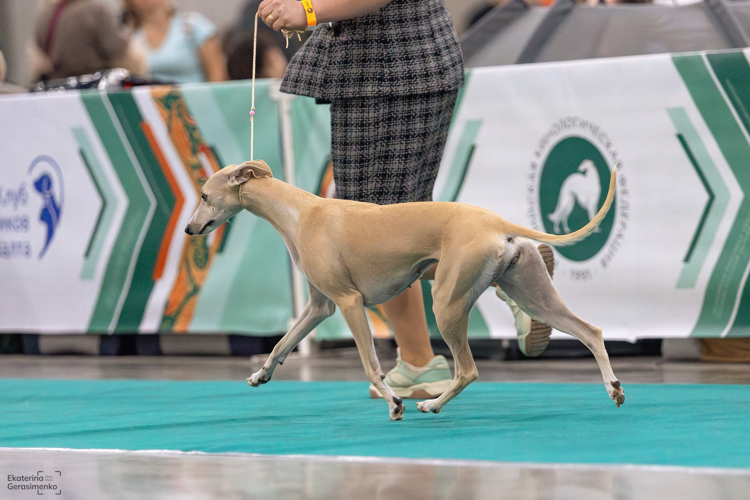 16–17 ноября 2024, Выставка ЕВРАЗИЯ, г. Москва. Htykk_photo