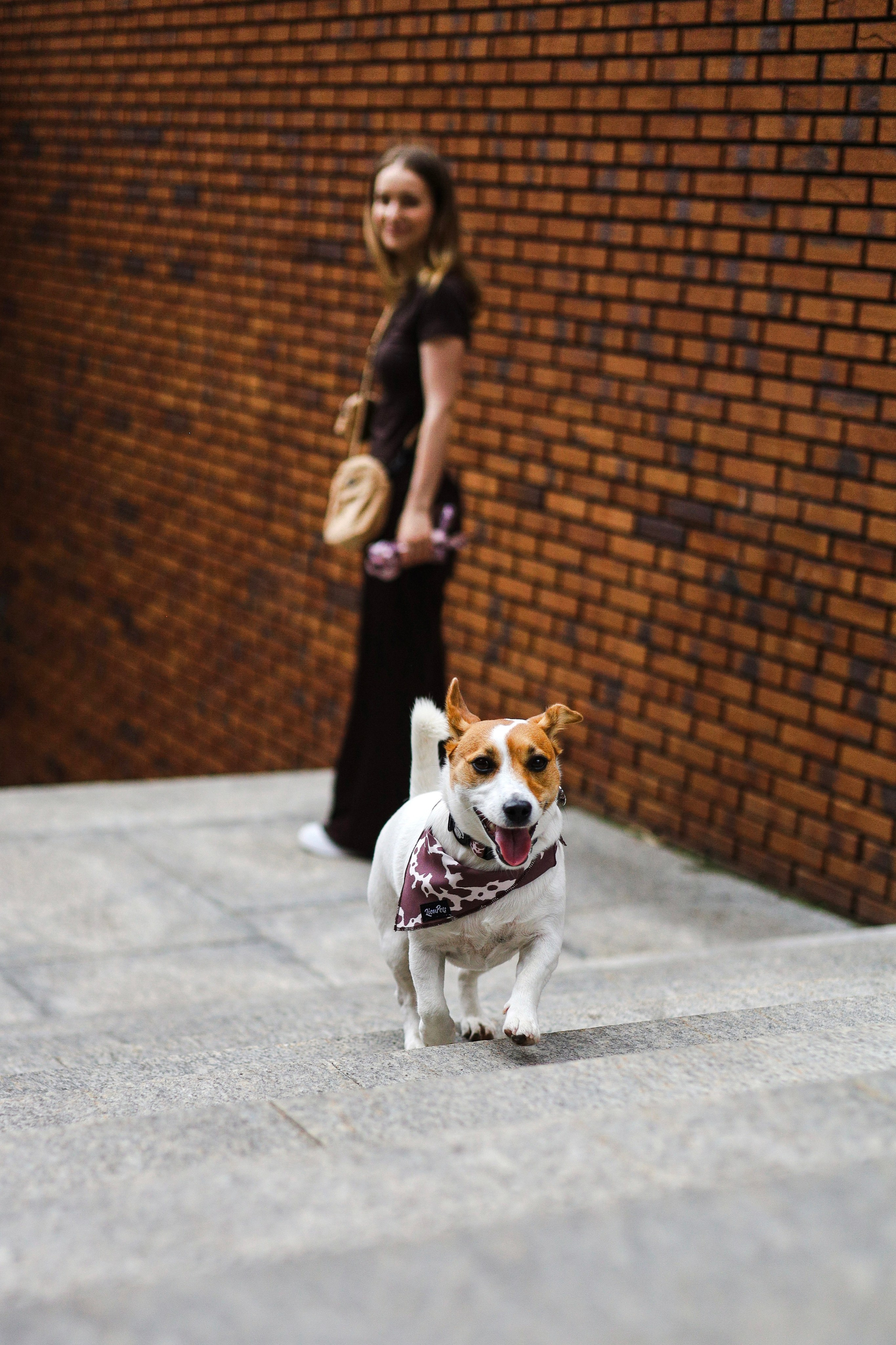 Холли и Катя. Фотограф-анималист Ксения Шевцова|Москва
