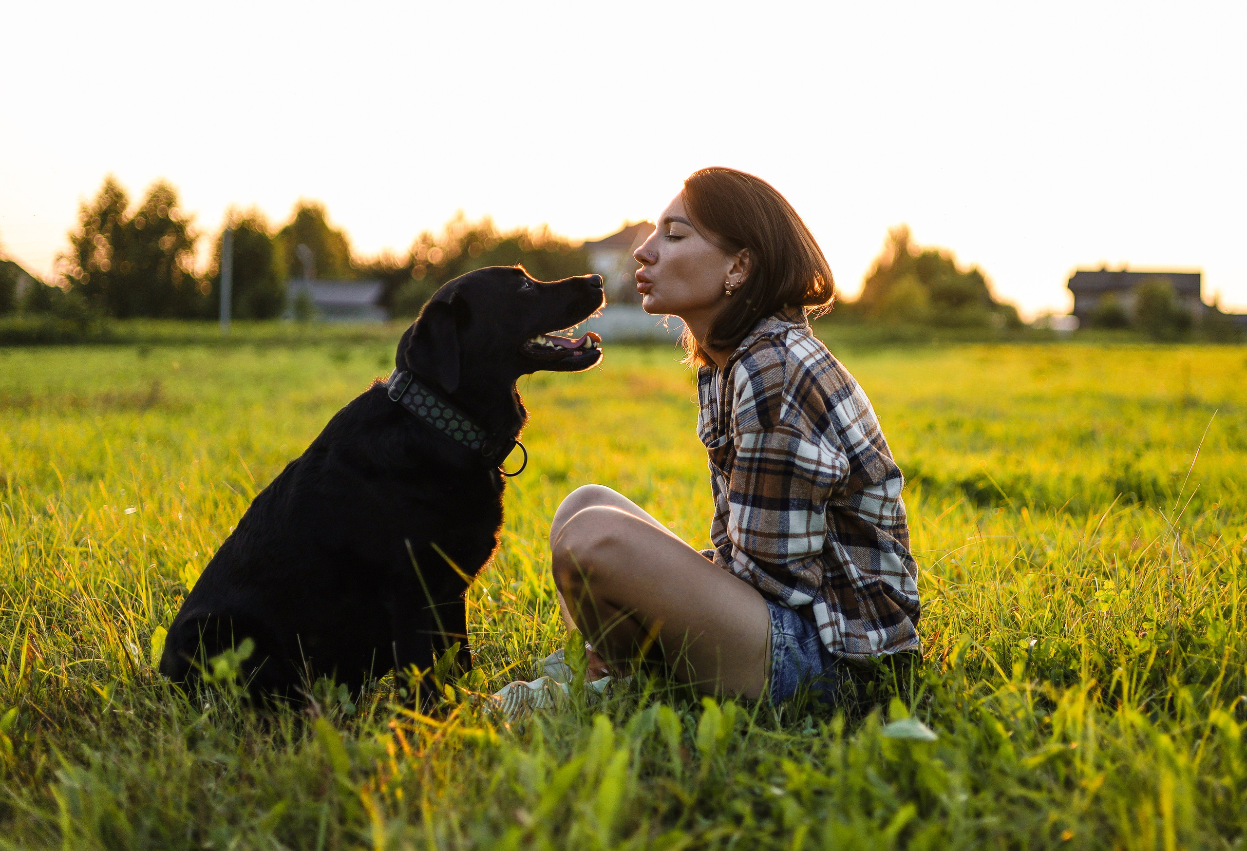 Бонни, Лея и Лера. Фотограф-анималист Ксения Шевцова|Москва