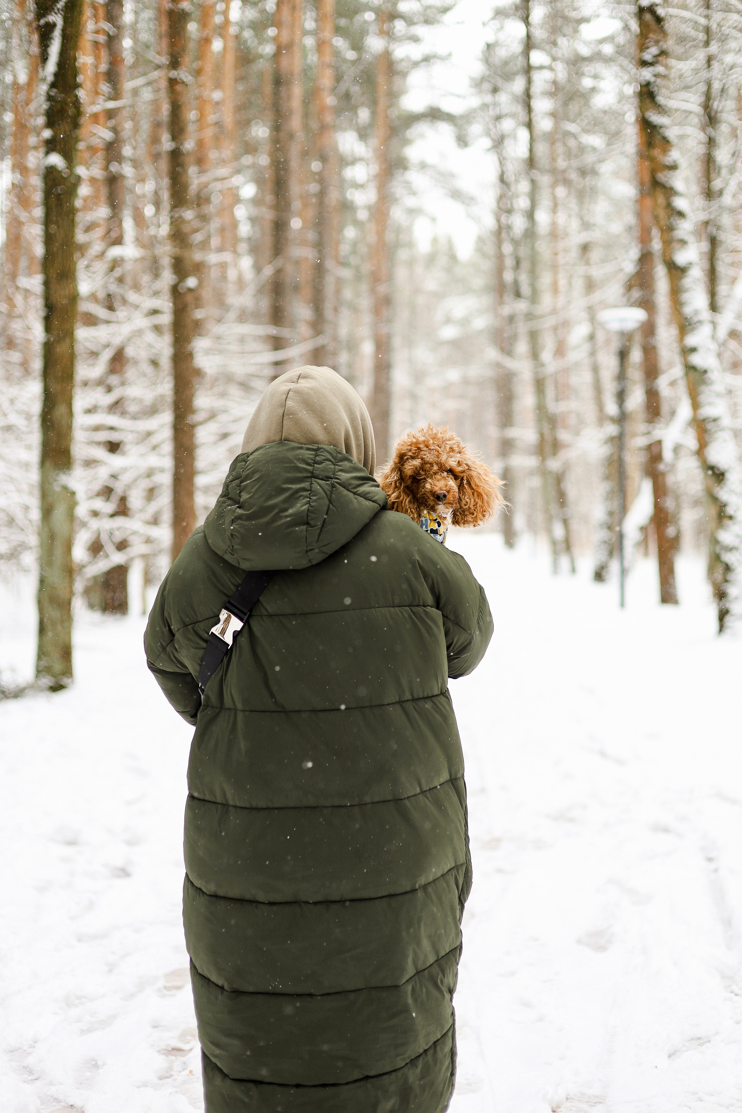 Муд и Леся. Фотограф-анималист Ксения Шевцова|Москва